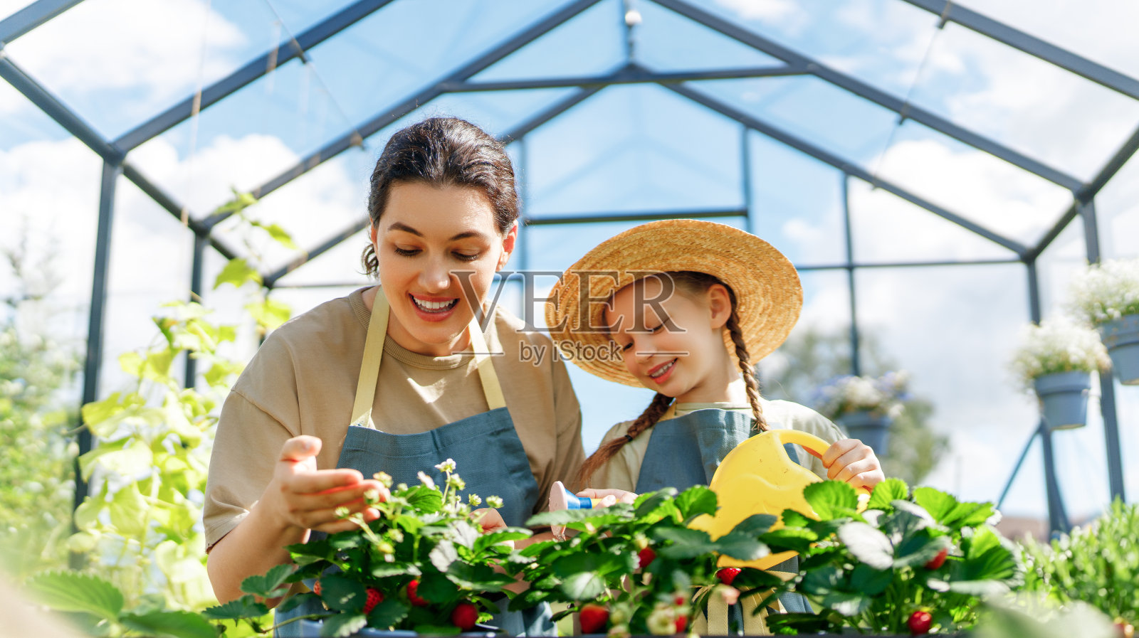 母亲和女儿正在温室里种花照片摄影图片