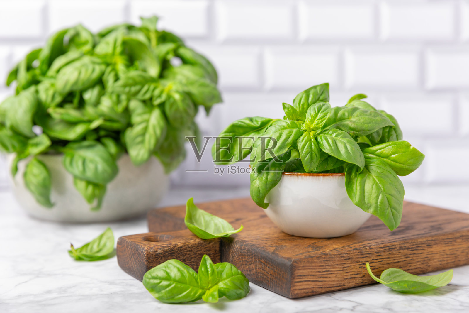 绿色罗勒叶在纹理木制背景。厨房香草,香料。新鲜的绿色有机罗勒。素食主义者。沙拉用的青菜。放文字的地方。副本的空间。照片摄影图片