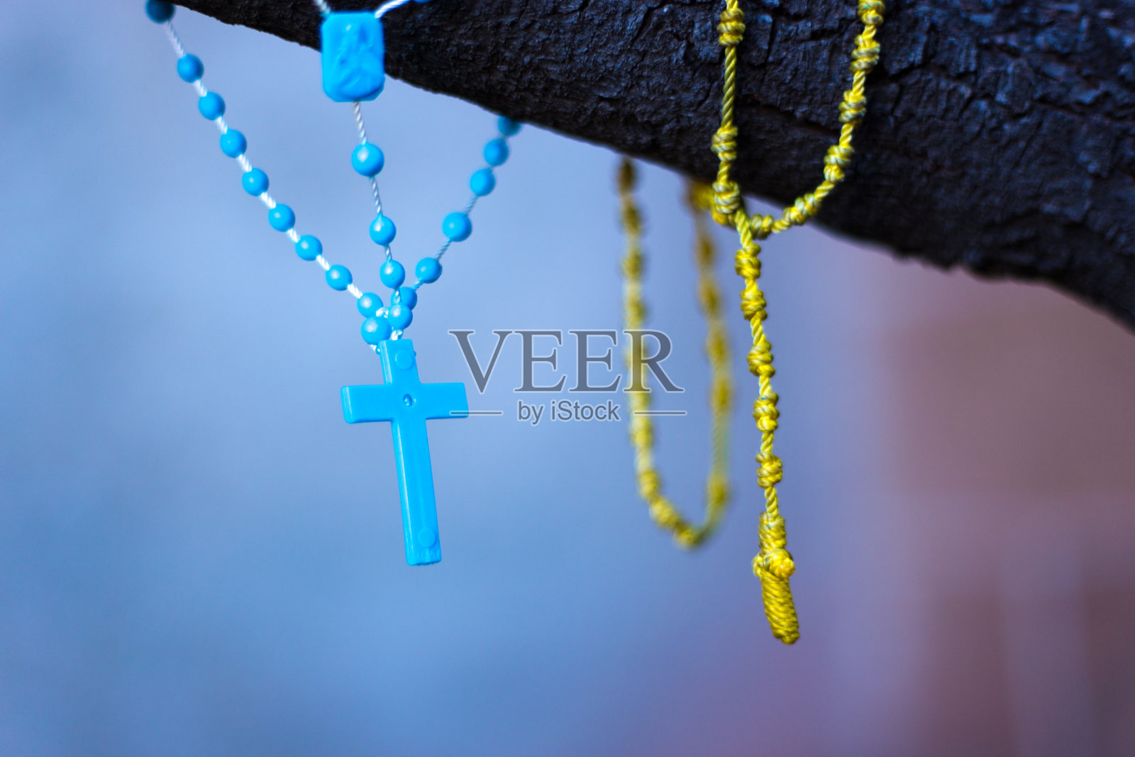 树上挂着两颗念珠和十字架照片摄影图片
