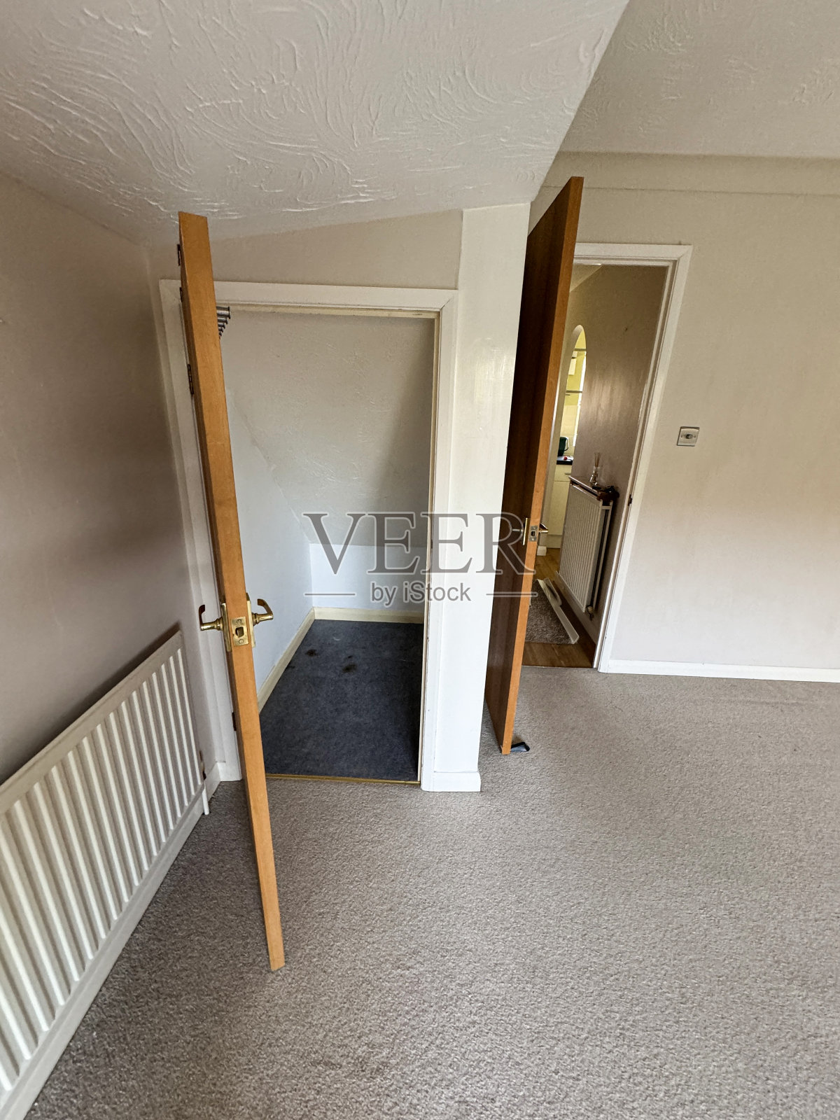 客厅的楼下橱柜图像:铺着地毯的休息室,门和存储解决方案照片摄影图片