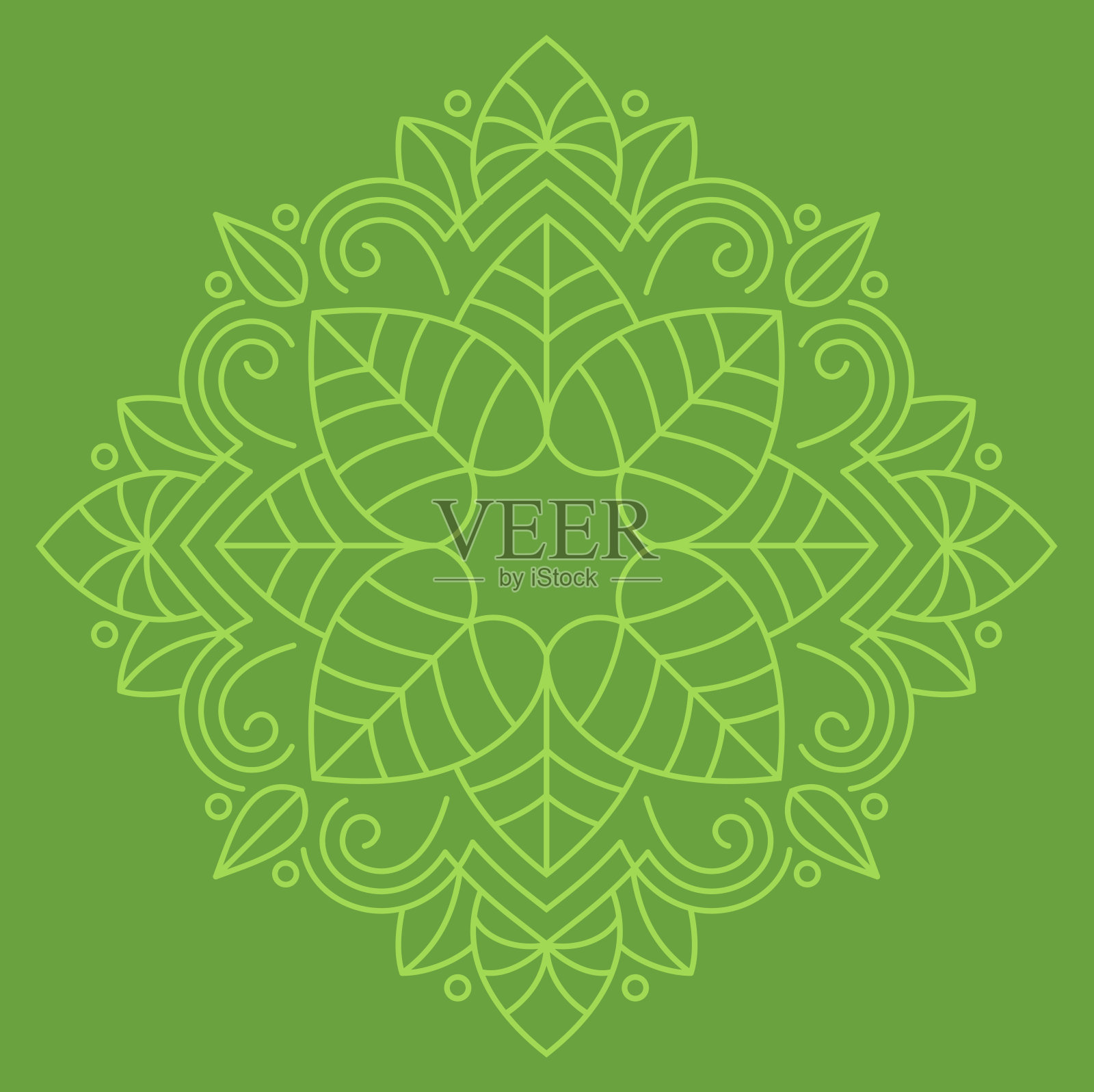 绿色生长夏季叶华丽的植物开花叶线条设计抽象背景插画图片素材