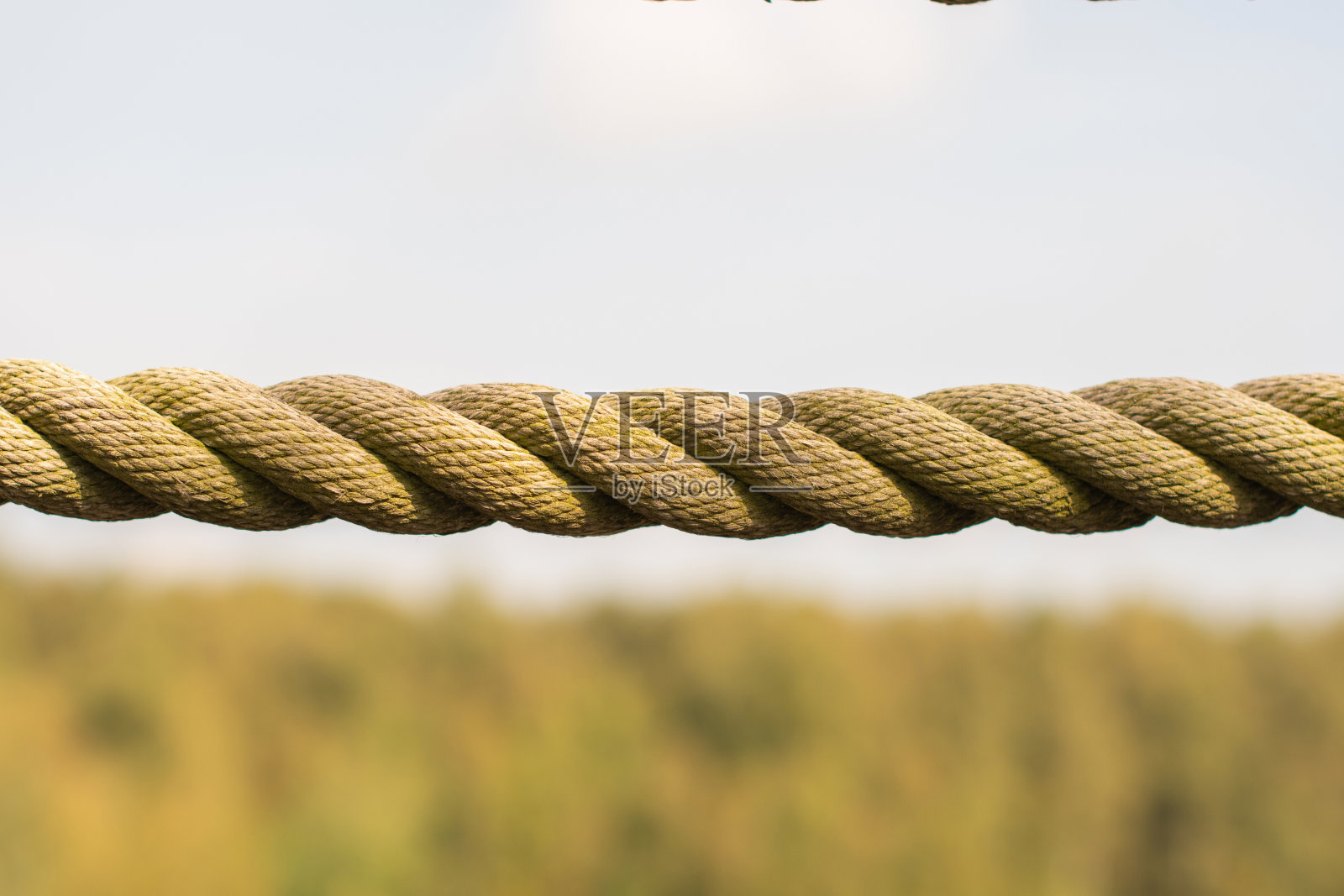 编织的绳子衬着绿树的叶子,背景依稀可见,夕阳投下金色的光辉和阴影照片摄影图片