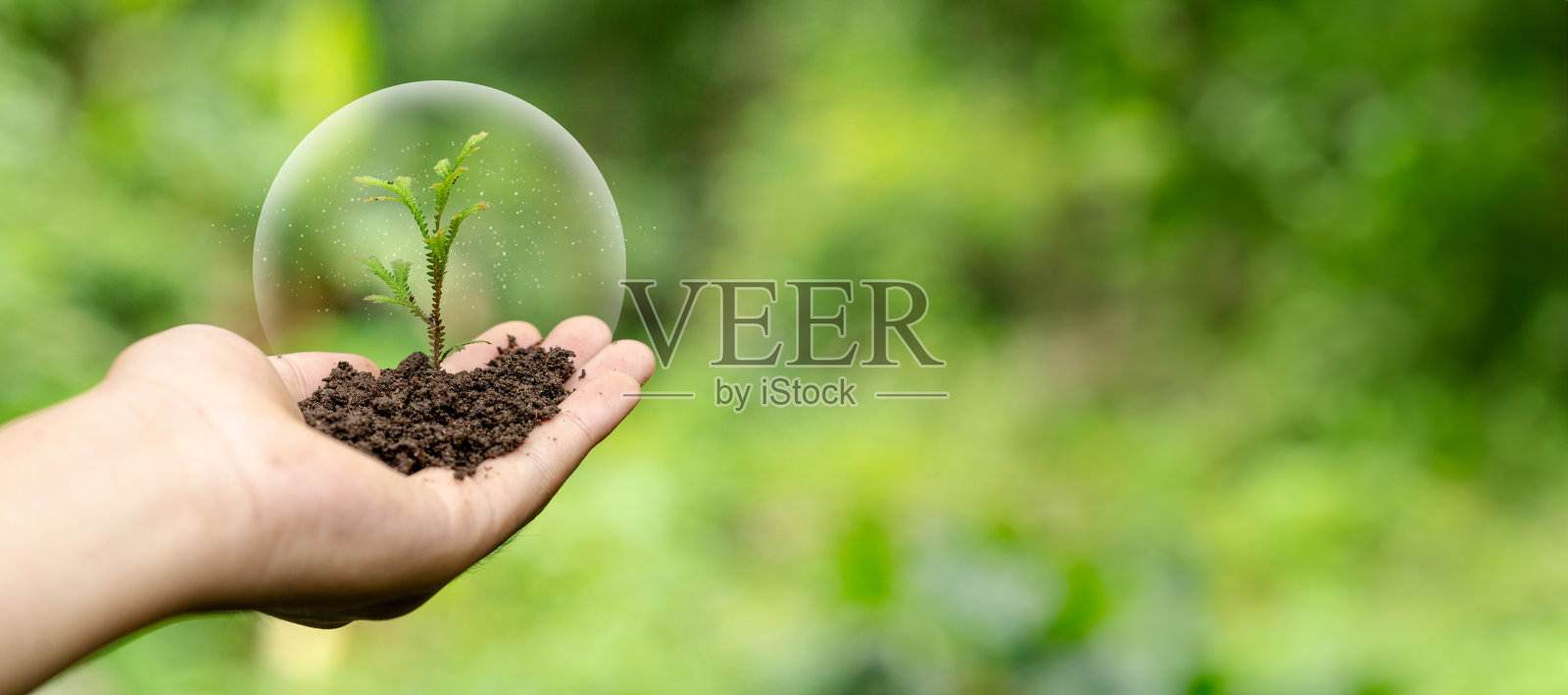 手握ESG小树环境、社会与治理。一项共同协议,保护绿色资源,减少工厂的碳排放,促进组织的可持续发展。照片摄影图片