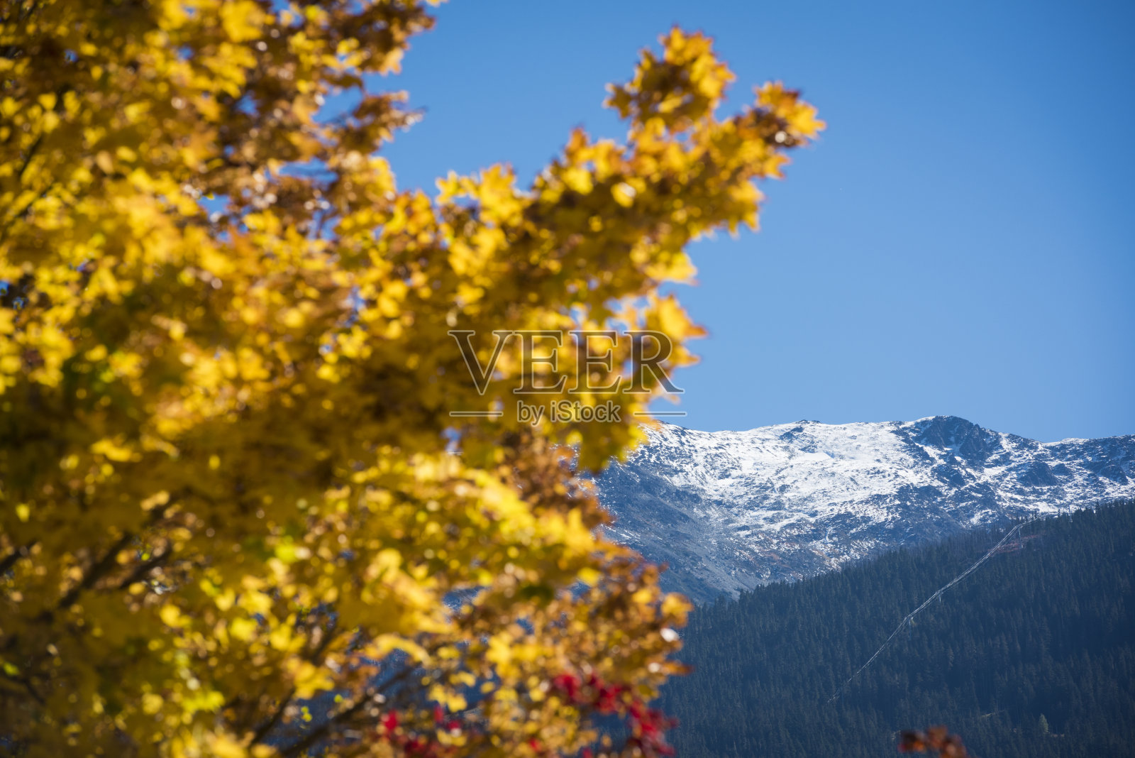 秋天的色彩和雪山照片摄影图片