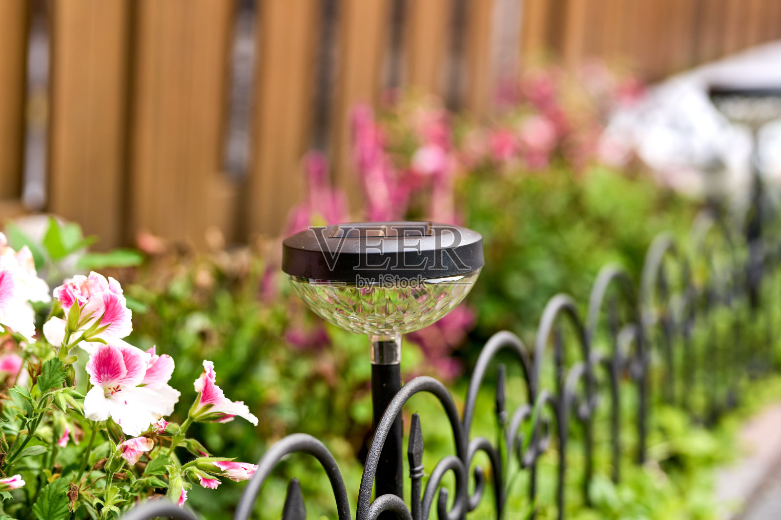 太阳能后院灯照片摄影图片