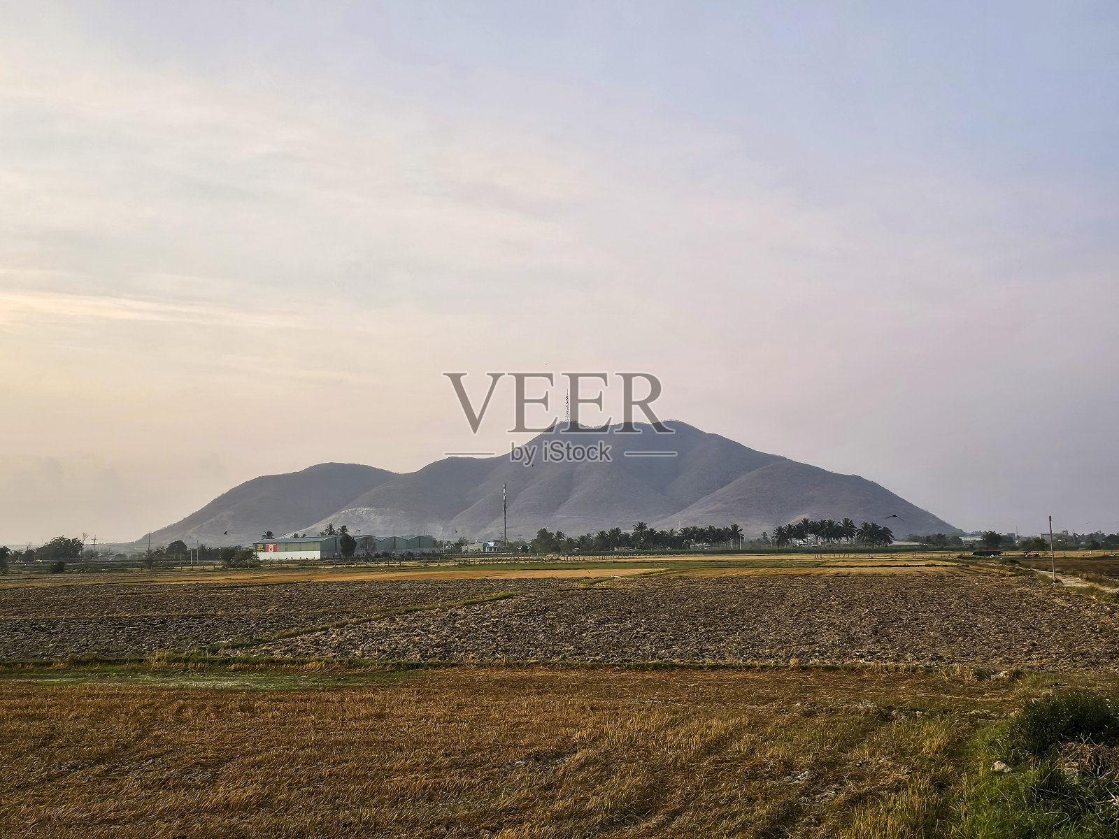 塔佐尔石灰石山脉和收获的田地照片摄影图片