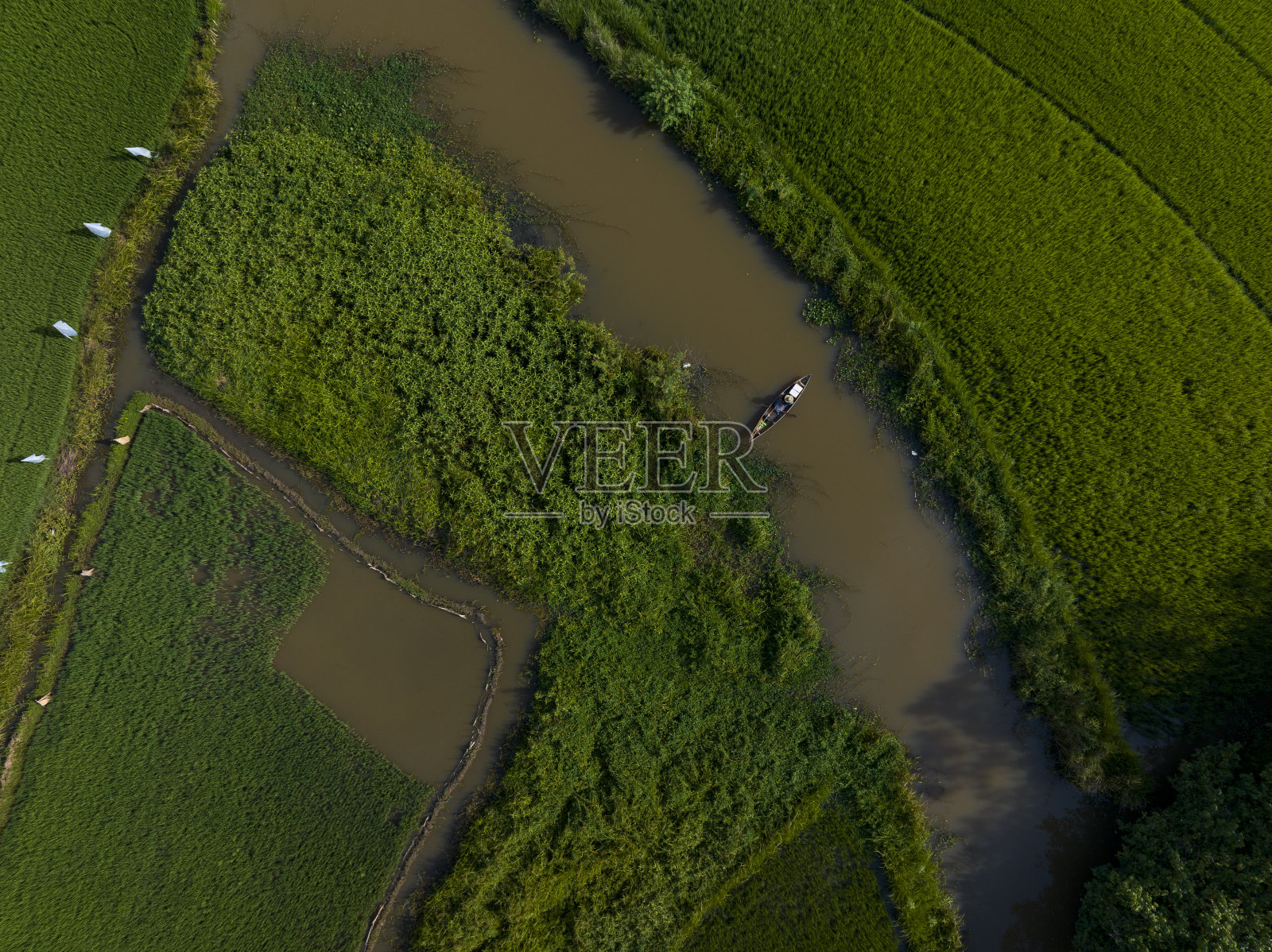 流经越南中部绿色稻田的小运河照片摄影图片