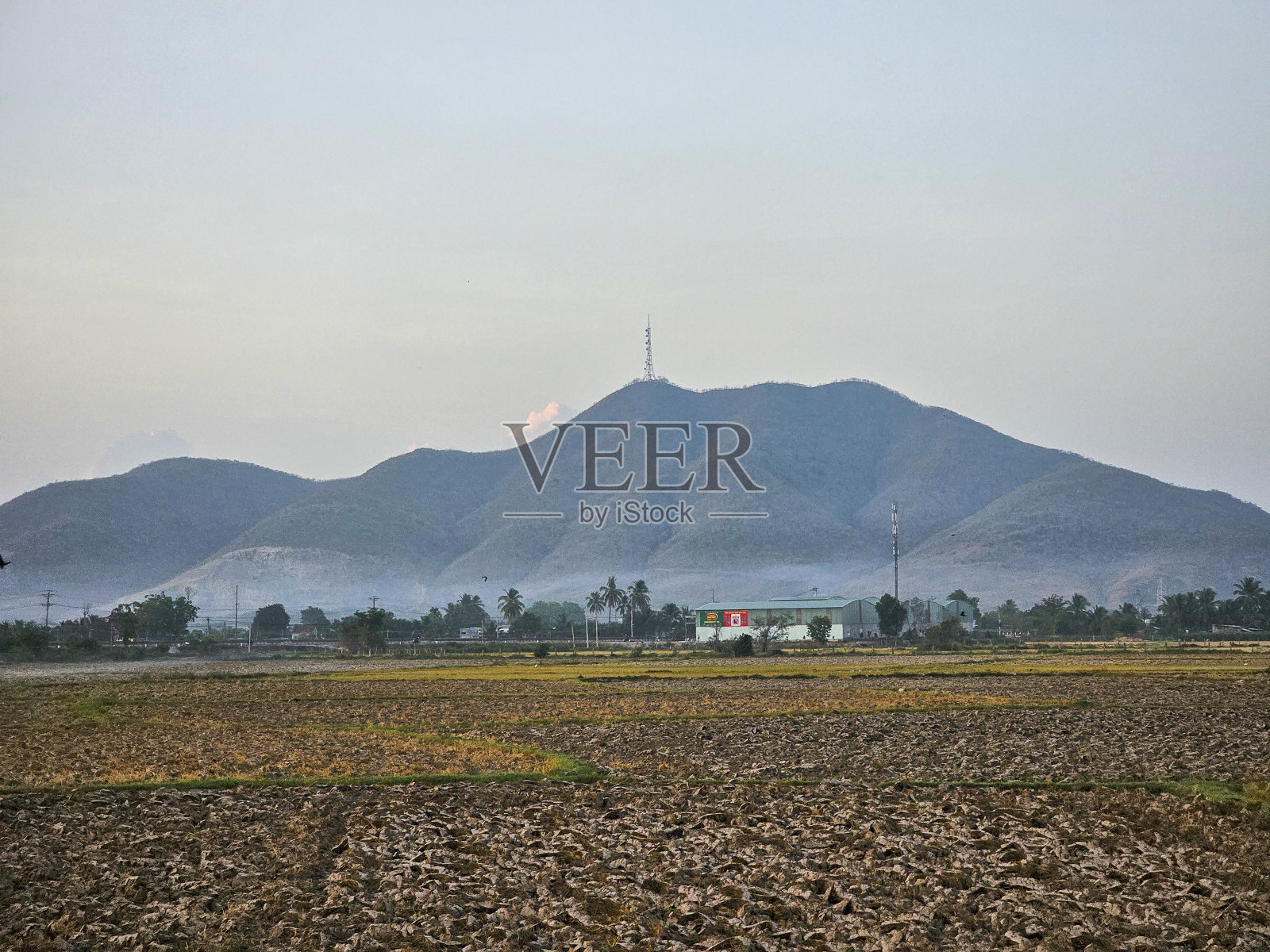 塔佐尔石灰石山脉和收获的田地照片摄影图片