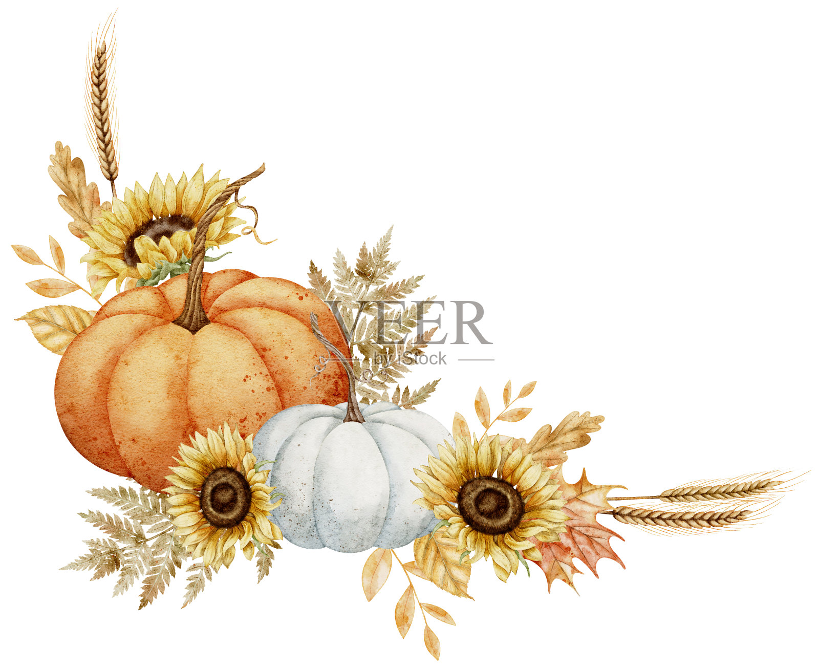 南瓜和向日葵的水彩插图丰收节日贺卡或婚礼邀请。在孤立的背景上绘制秋叶和秋天的植物和树枝插画图片素材