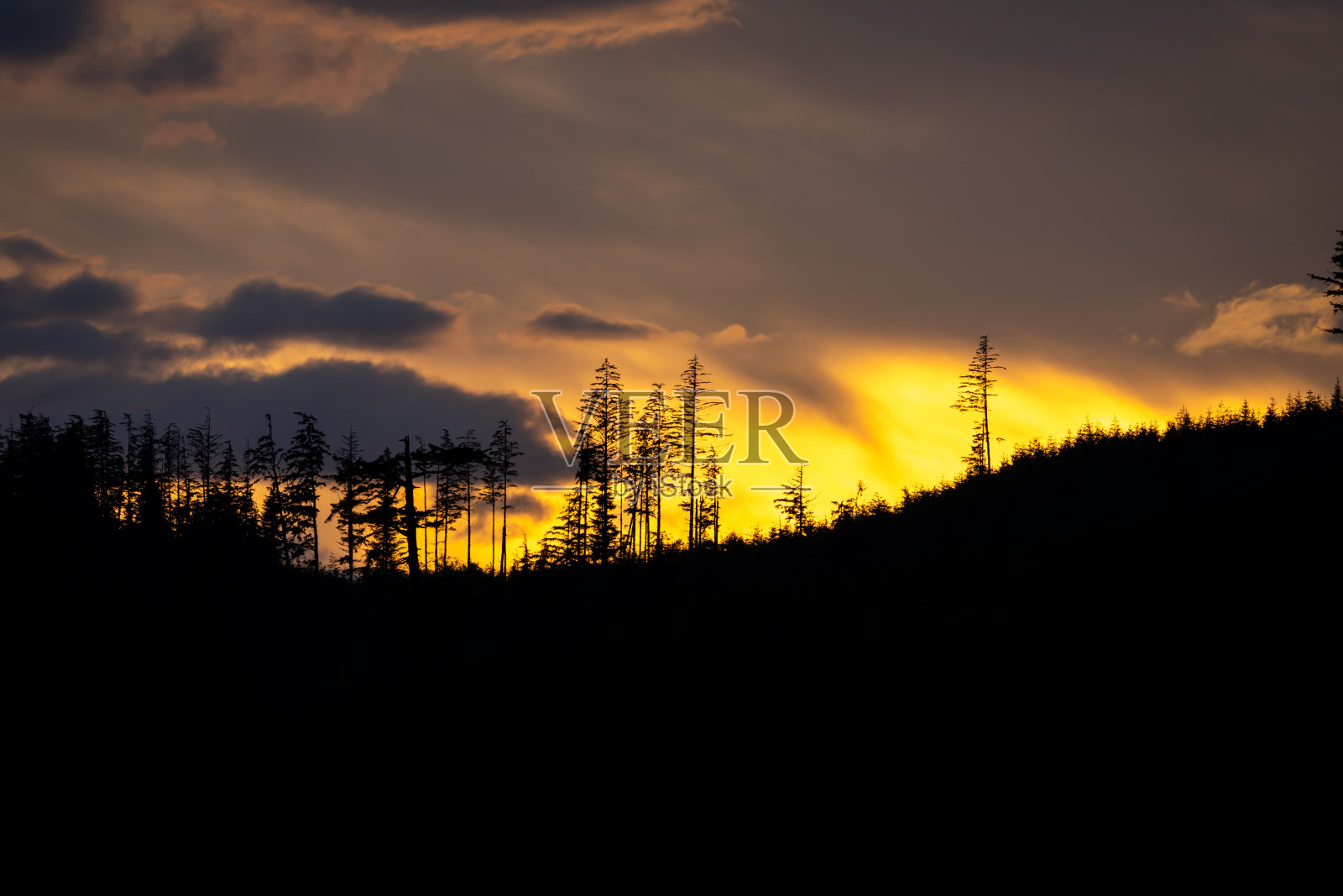 在阿拉斯加度过一个史诗般的假期照片摄影图片