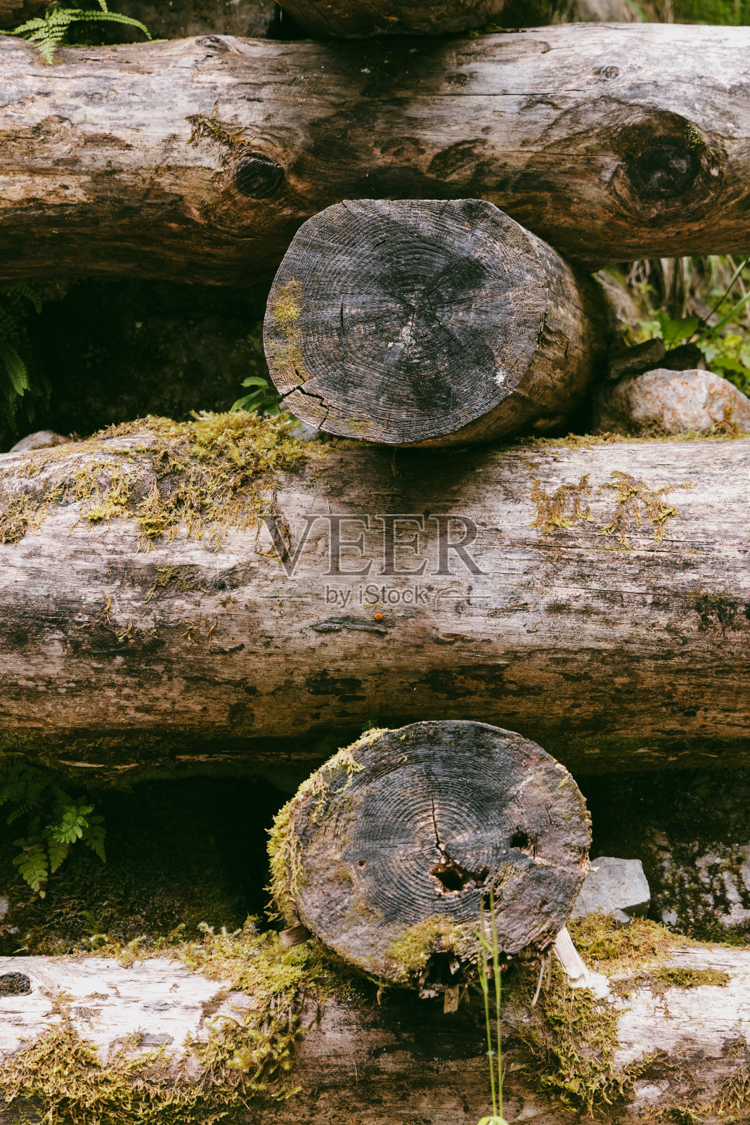 森林里用原木做的挡土墙。背景。垂直照片摄影图片