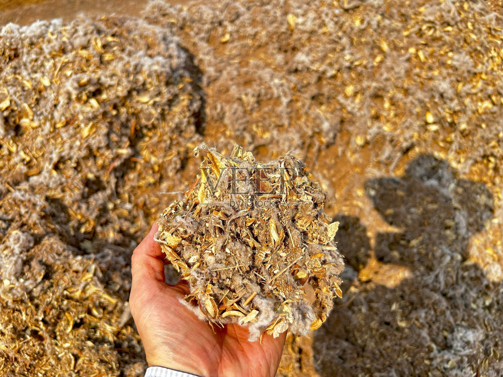 用作饲料场的副产品棉纤维堆照片摄影图片