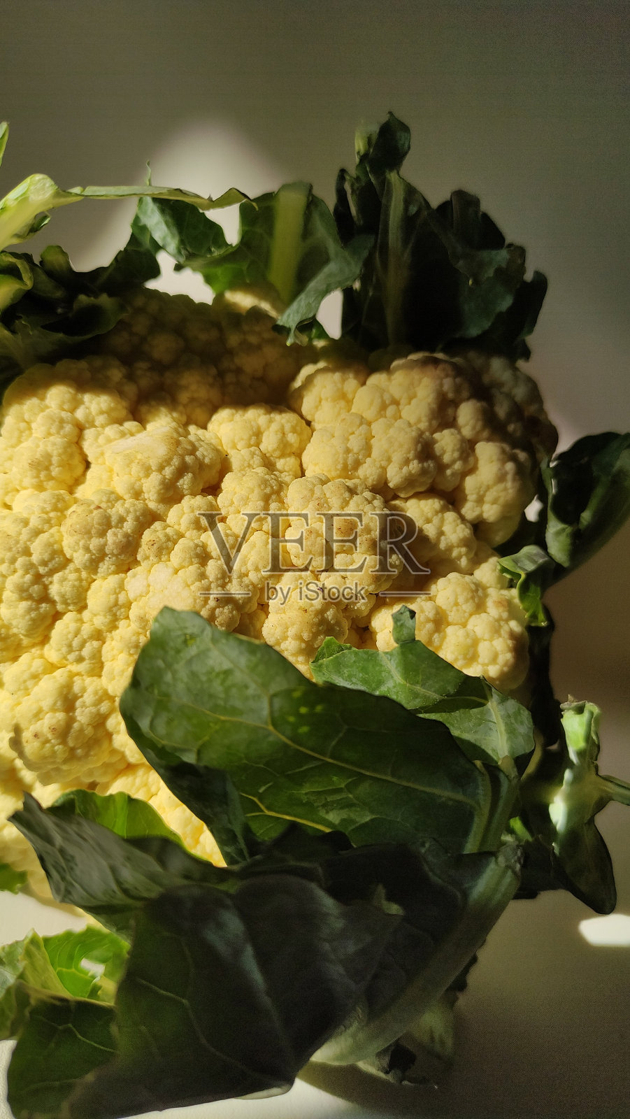 白色背景上新鲜花椰菜的特写照片摄影图片