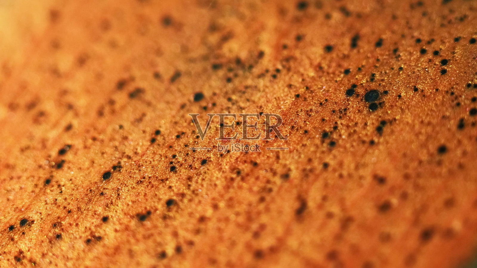 颗粒流体闪闪发光,颜料流青铜波照片摄影图片