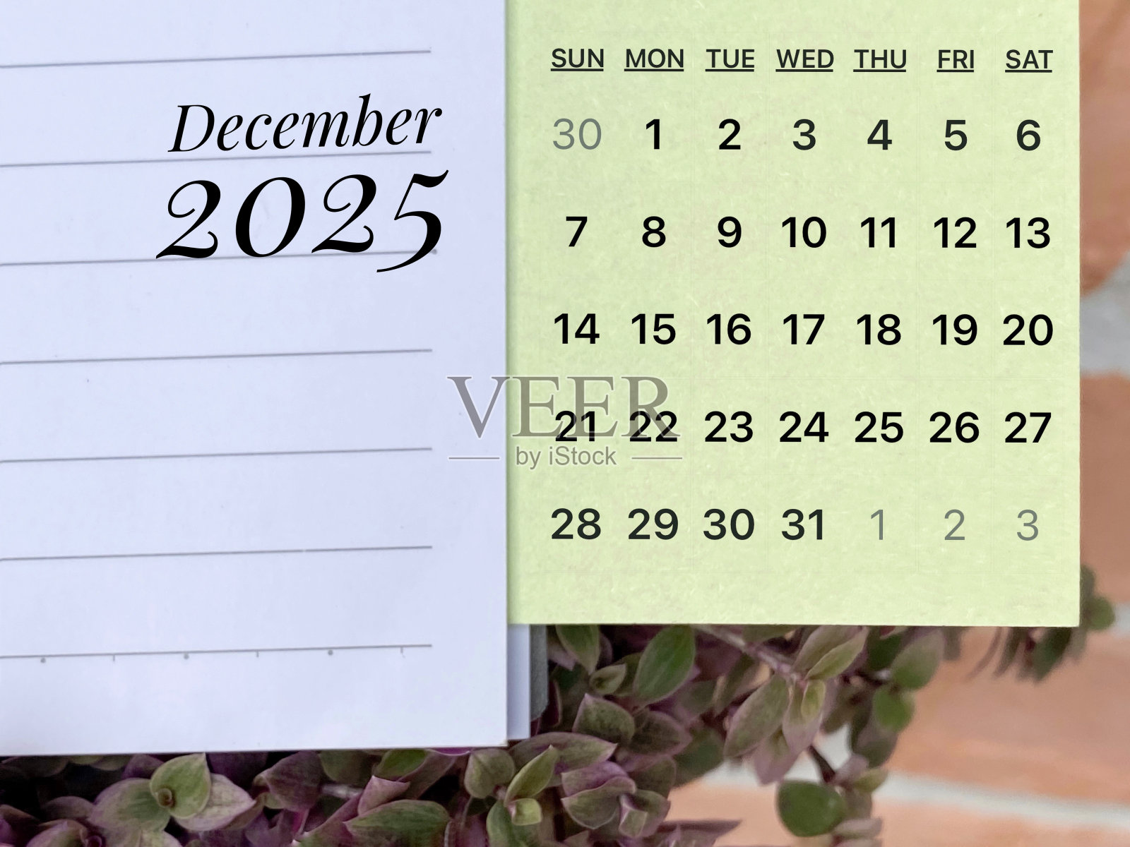 日程表日期照片摄影图片