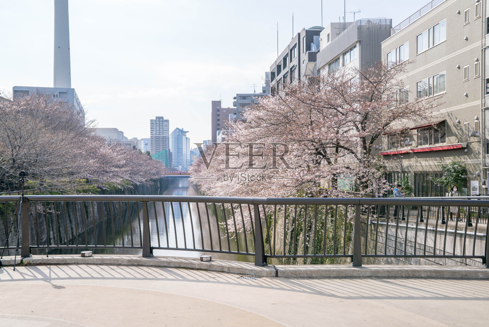 城市里的摩天大楼照片摄影图片