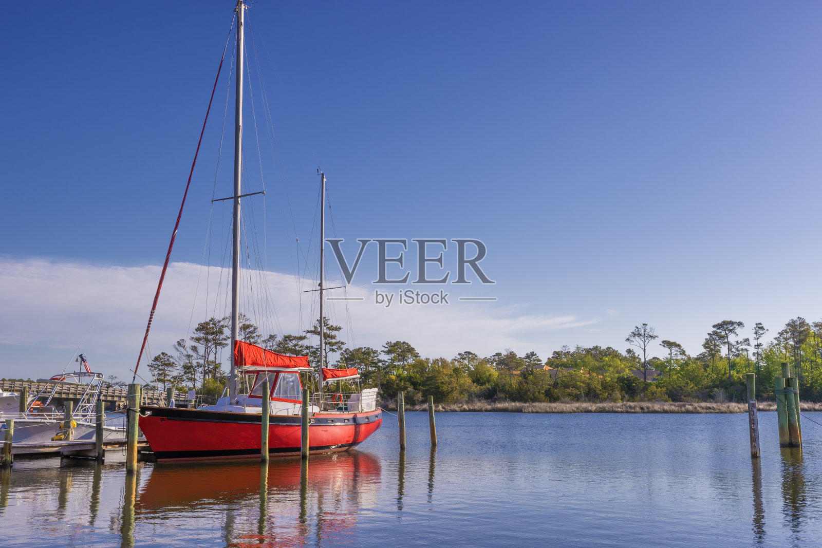 美国北卡罗莱纳州外班克斯罗阿诺克岛上的蝠鲼照片摄影图片