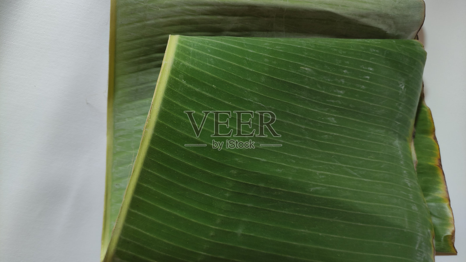 白色背景上的香蕉叶特写照片摄影图片