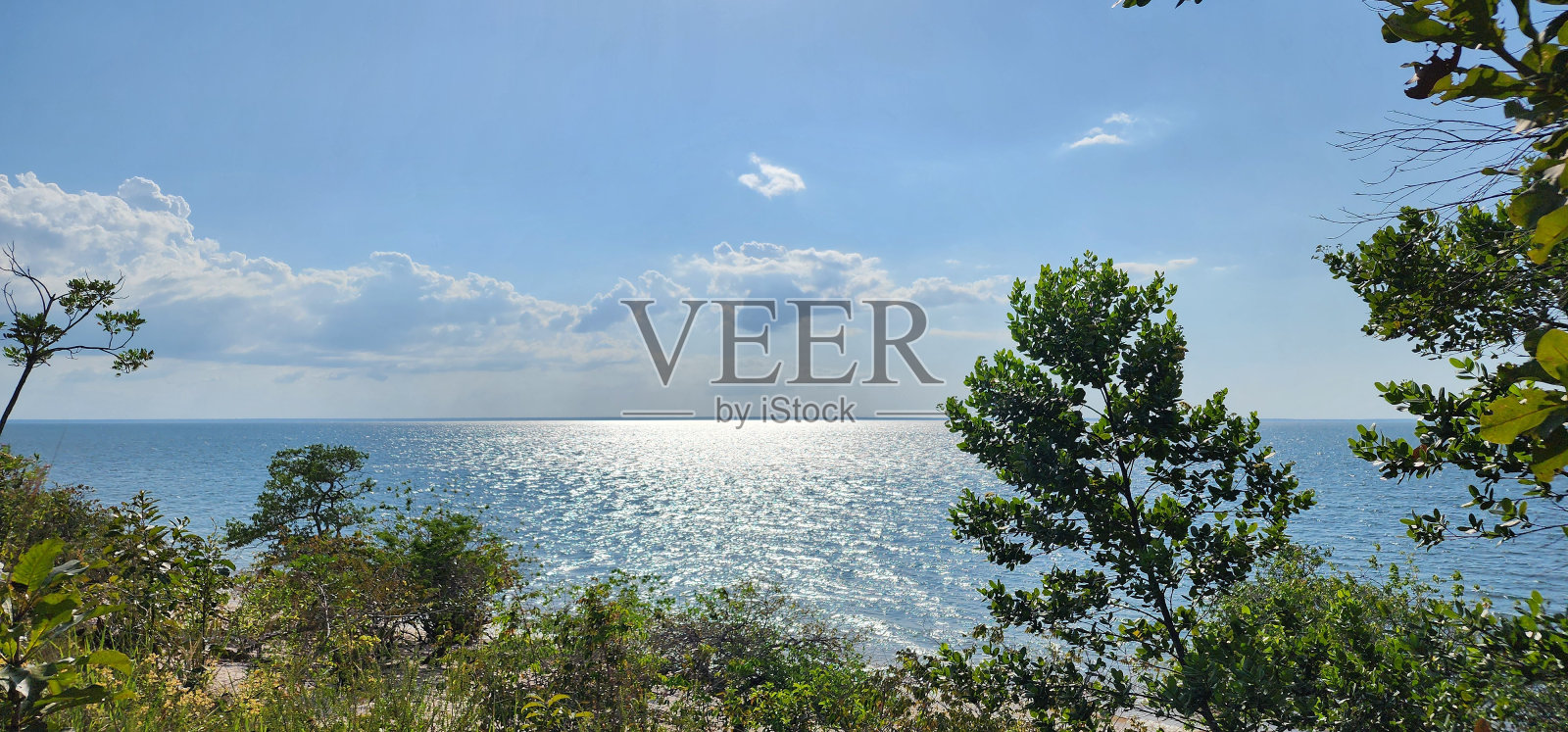 天然美女照片摄影图片