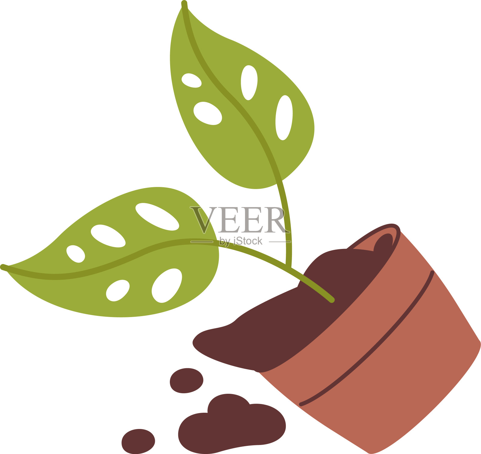 绿色的植物插画图片素材