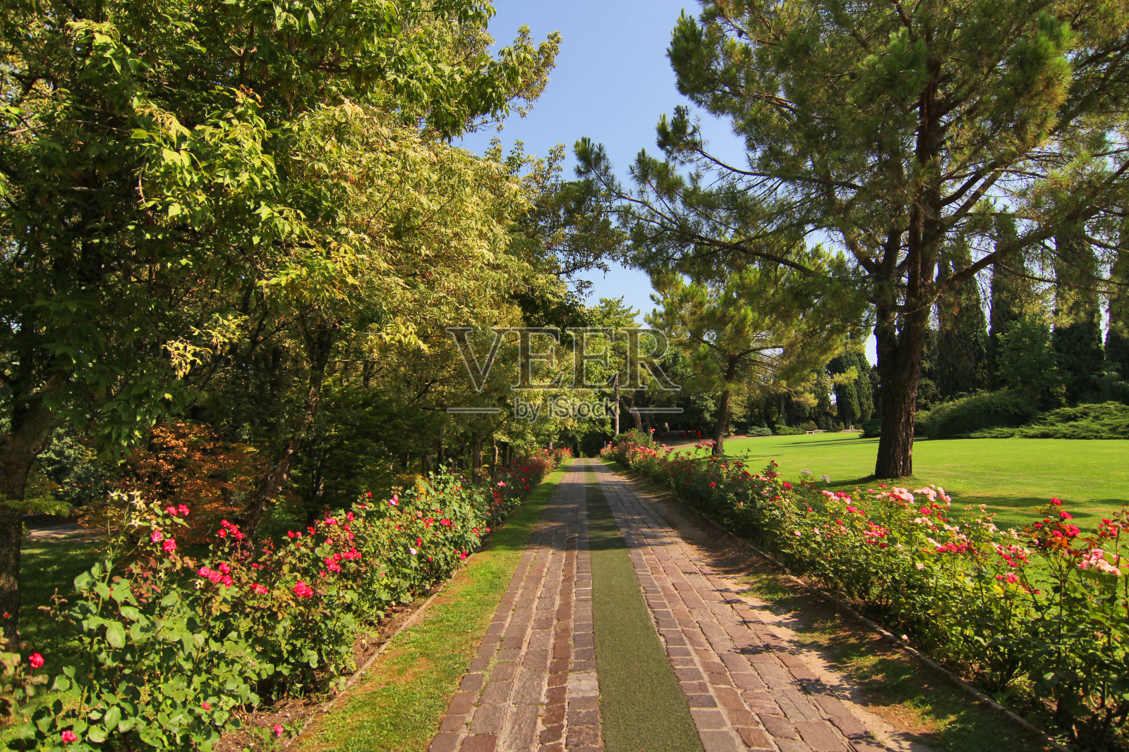 意大利维罗纳的西古塔公园照片摄影图片