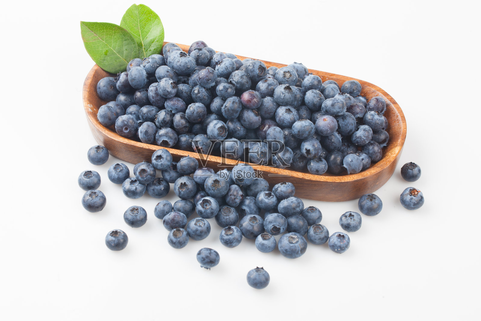 杜鹃花属的灌木果实呈浅蓝色或黑色,外面有白色粉末。它含有丰富的维生素C和铁,并且有酸甜的味道,所以它可以生吃或用作果酱或果汁。照片摄影图片