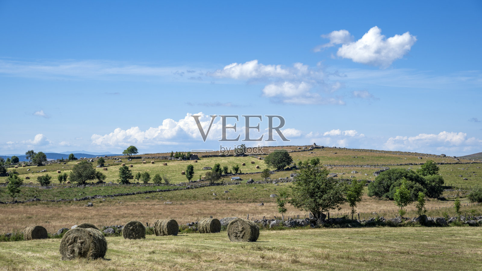 法国奥布拉克高原风景如画照片摄影图片