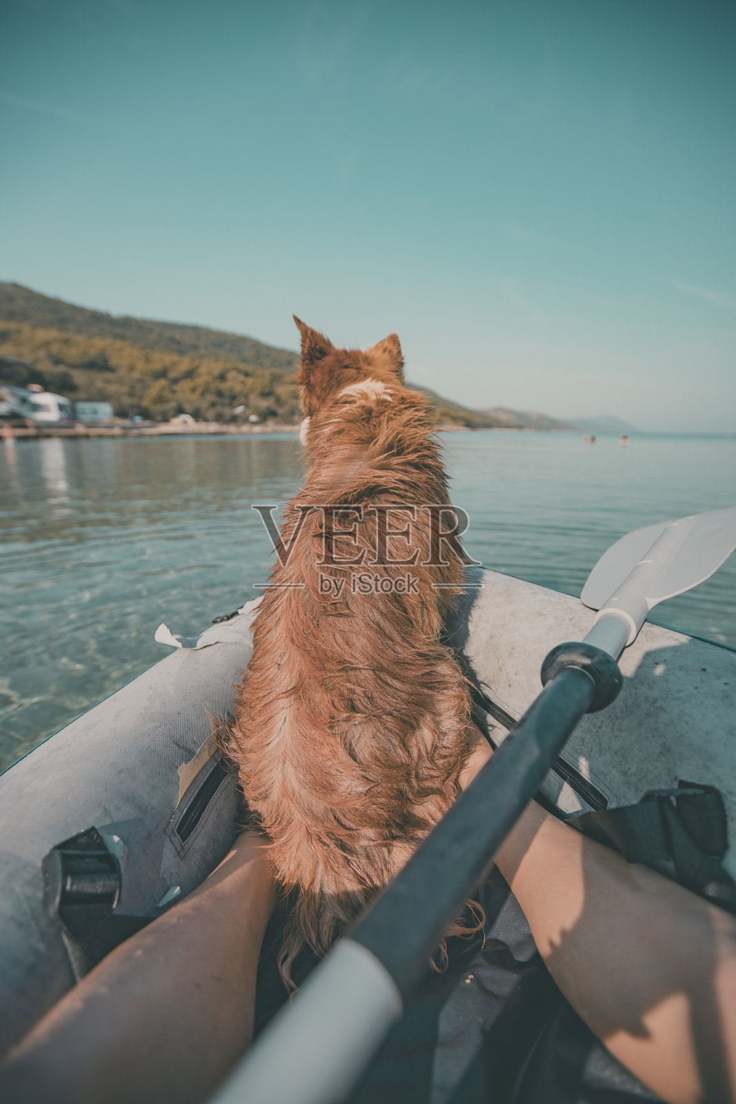年轻女子和狗在充气筏上放松照片摄影图片