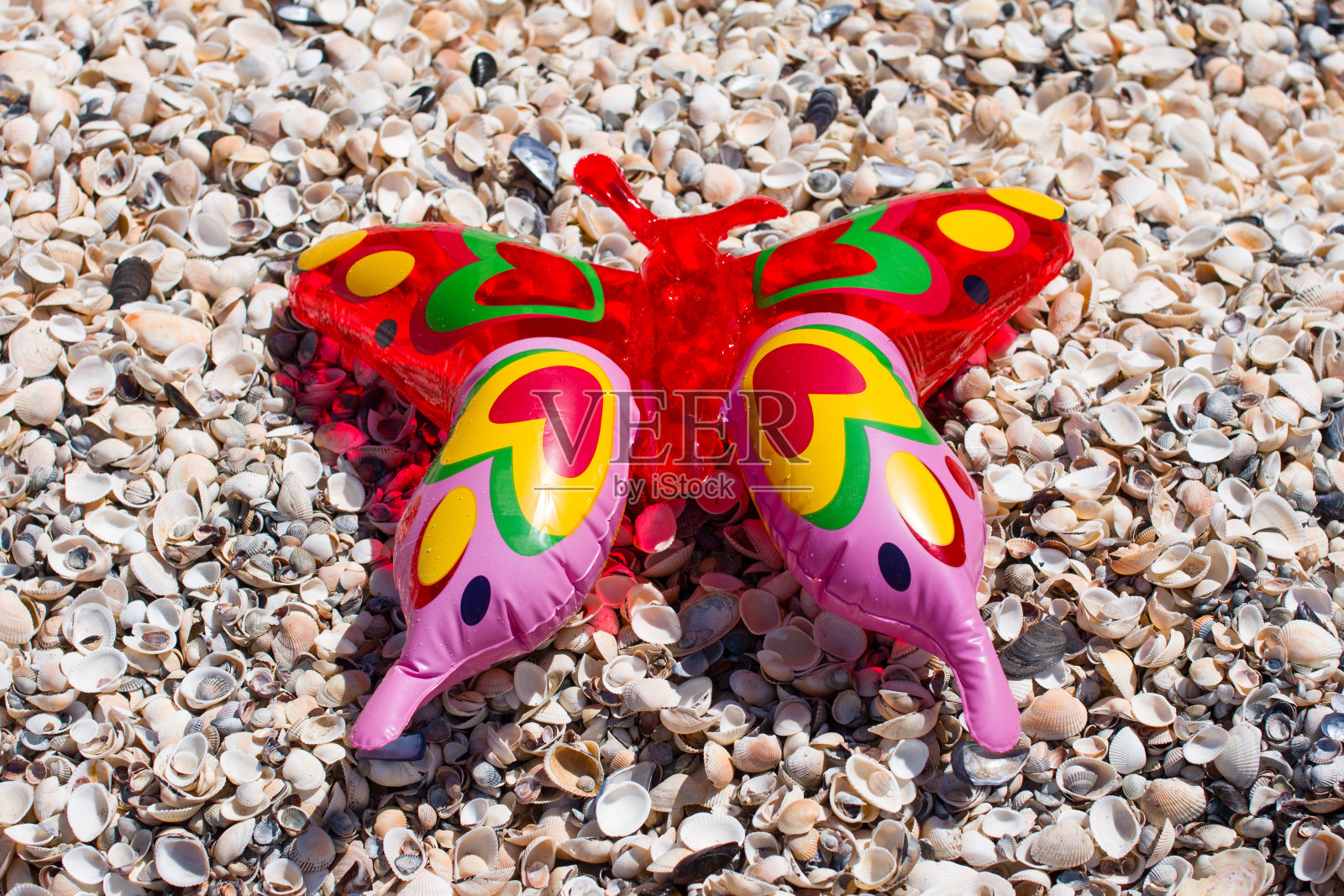 一只可充气的游泳用蝴蝶躺在海边。儿童沐浴玩具照片摄影图片