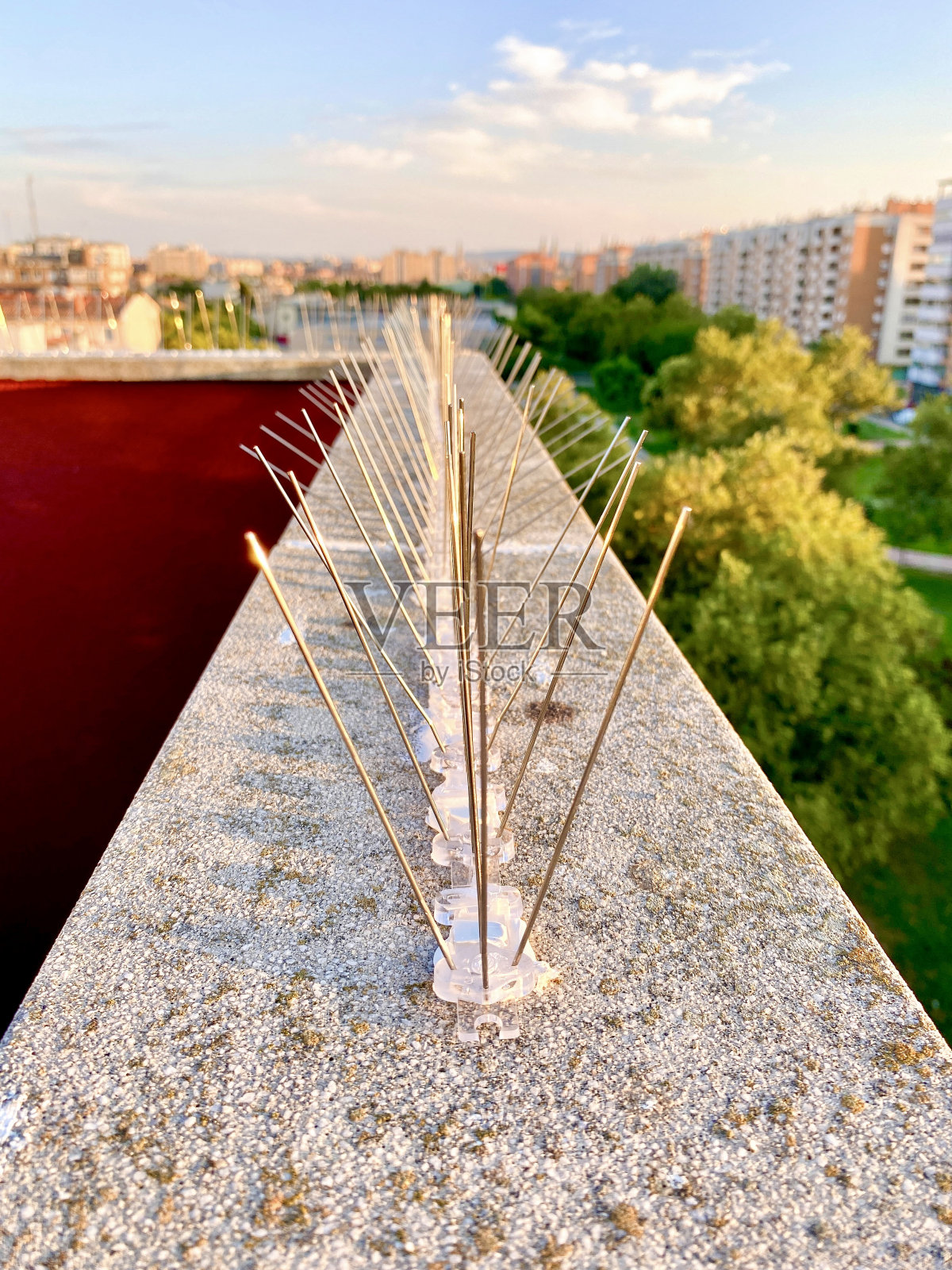 保护城市建筑物不受鸽子和其它鸟类粪便污染的钢钉或钢钉。防治虫鼠系统照片摄影图片