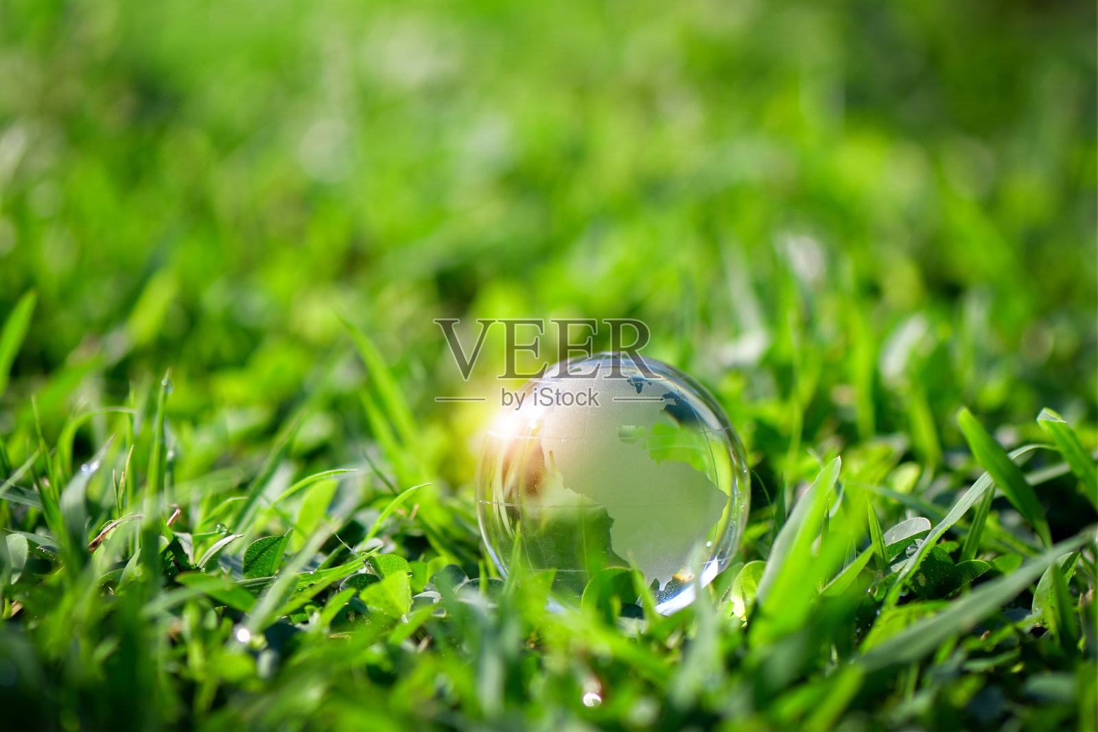 水晶地球,森林土壤,蕨类植物和阳光-环境,拯救清洁地球,生态理念。照片摄影图片