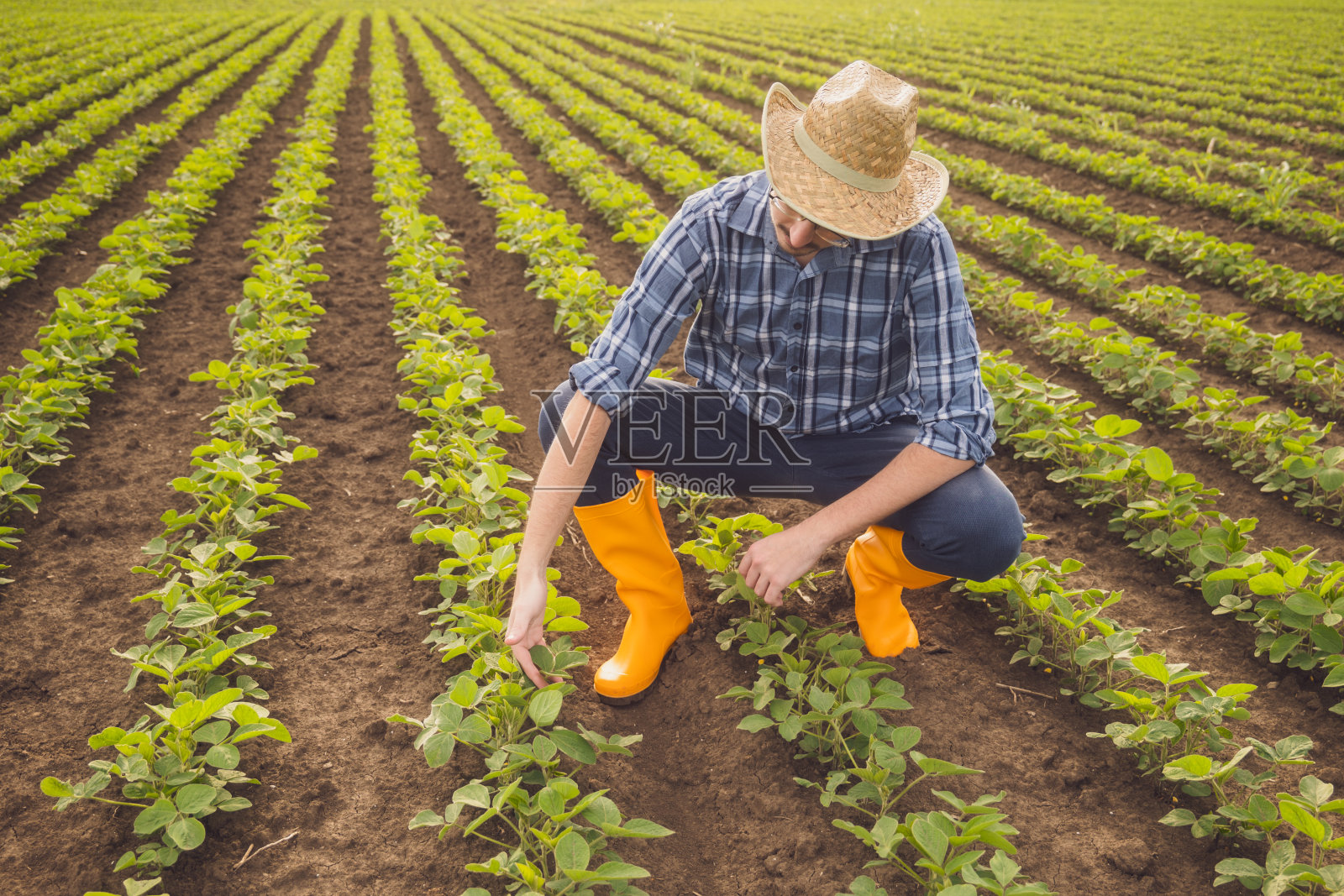 农民照片摄影图片