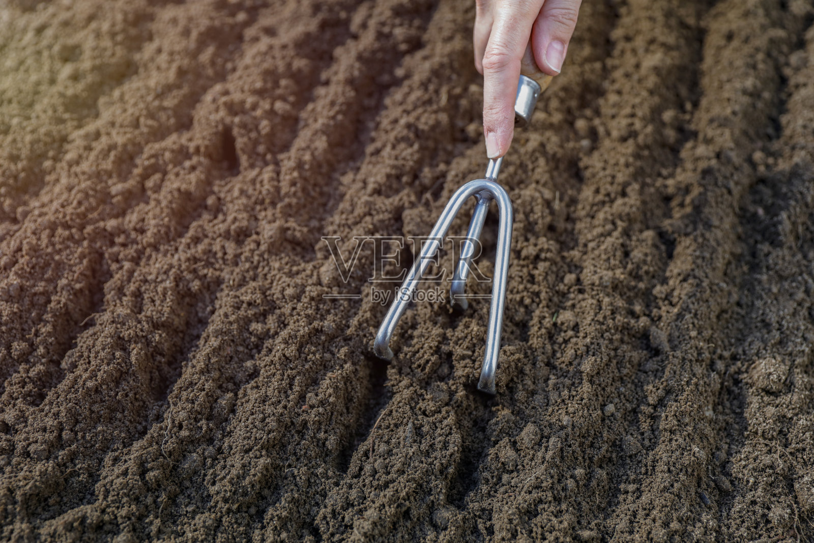 女子手握耙子在黑土背景。为种植植物在地面上准备花圃。花园叉子和泥土的特写。照片摄影图片