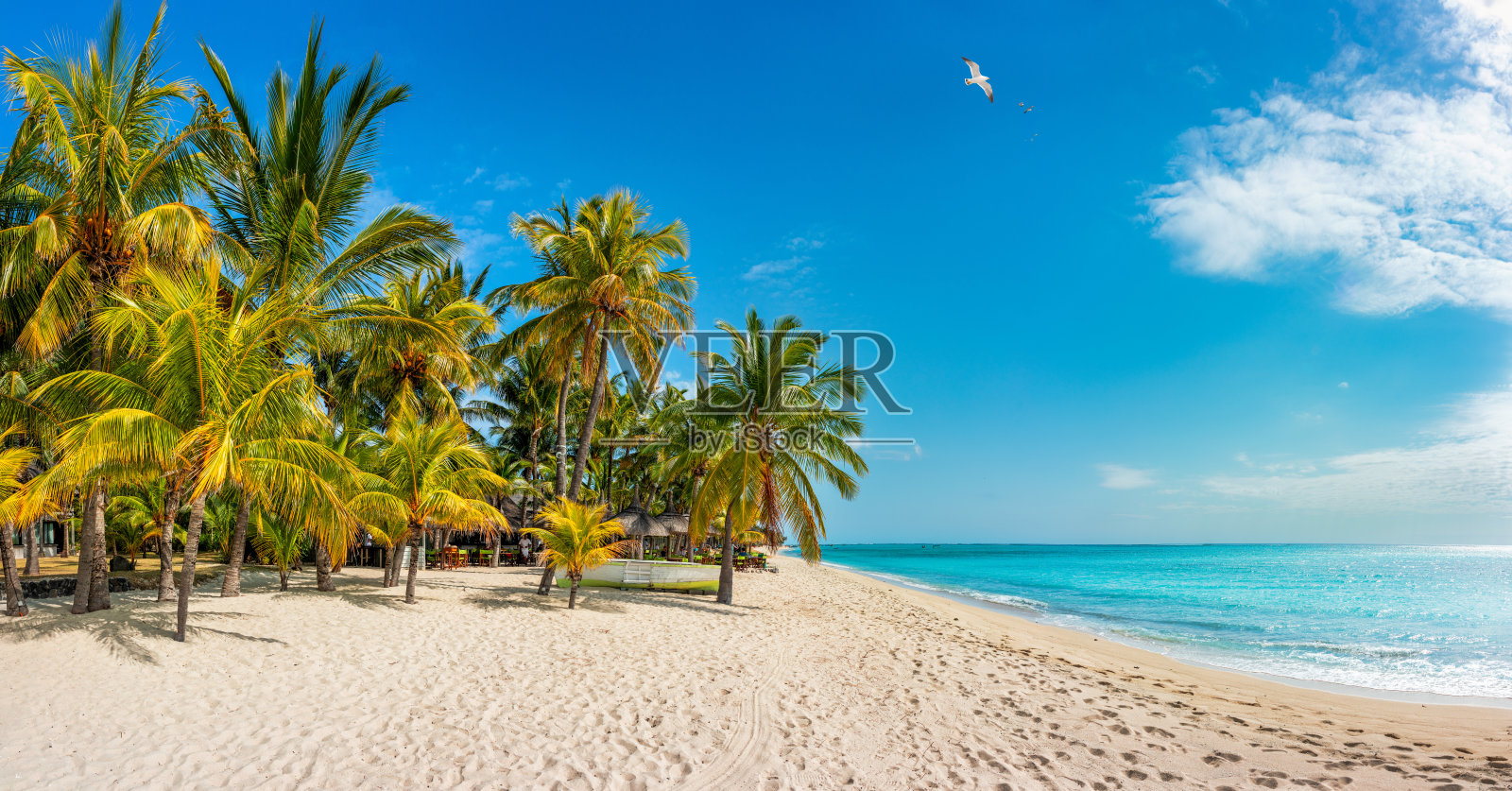 天堂海滩度假胜地与棕榈树和热带海洋在毛里求斯岛。暑假和热带海滩的概念。毛里求斯岛上的沙滩和莫纳海滩。热带景观。照片摄影图片