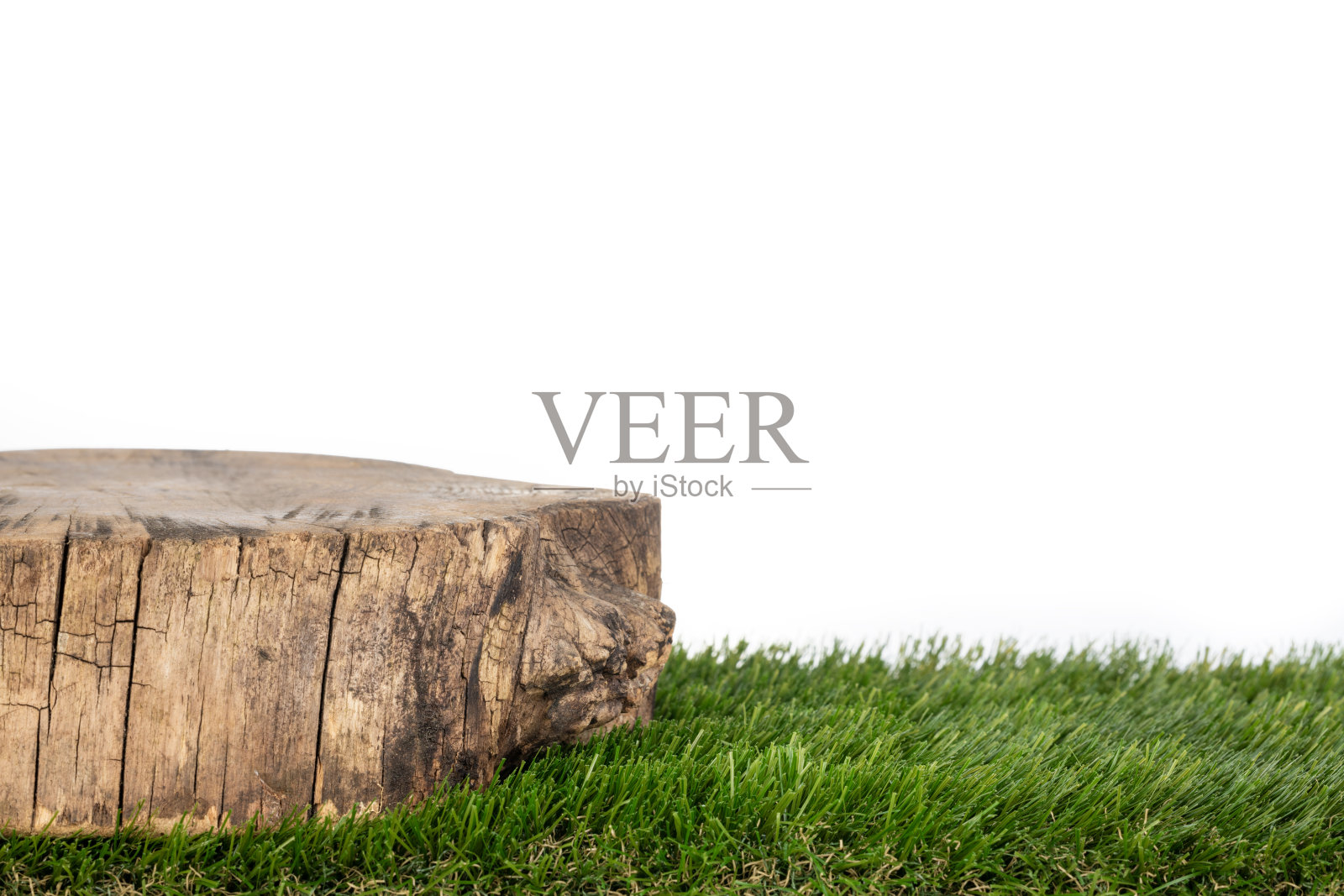 绿草地上的木树桩照片摄影图片