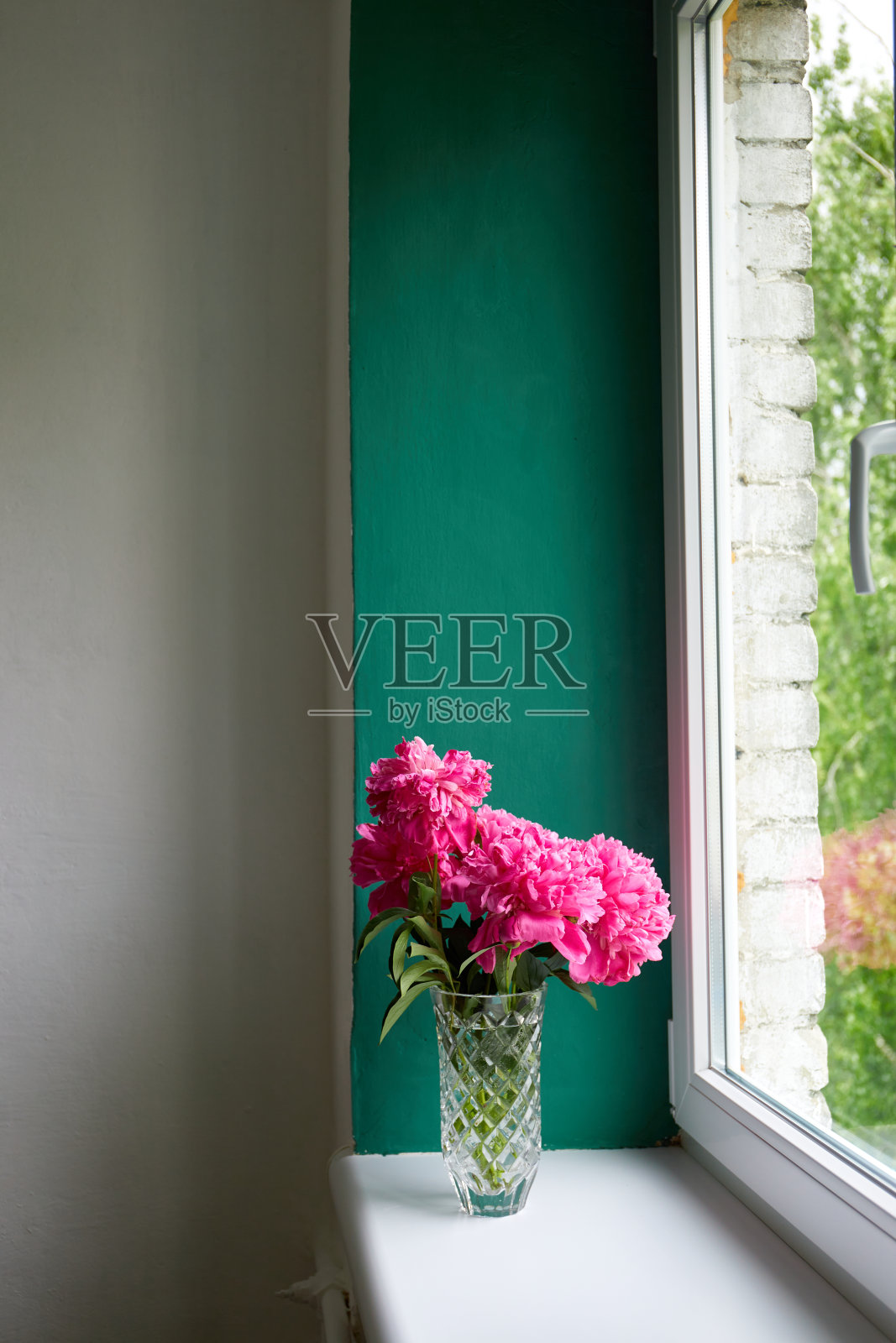 彩色粉红色的花在水晶花瓶明亮的窗户与绿色的墙照片摄影图片