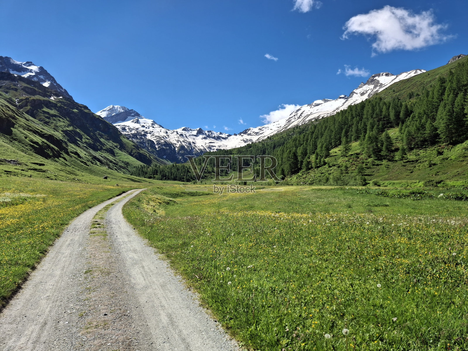 Fex Valley和Piz Tremoggia照片摄影图片