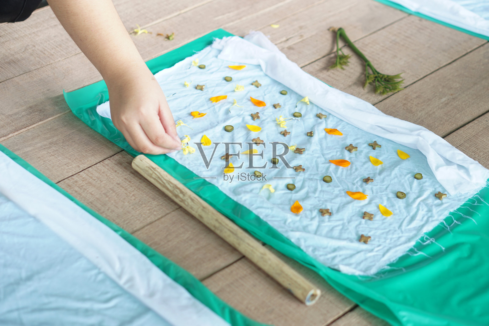 把叶子或花放在布上。用自然颜色在白布和绿色塑料包装上进行手工生态印刷的过程。概念,具有环保理念的DIY工艺。照片摄影图片