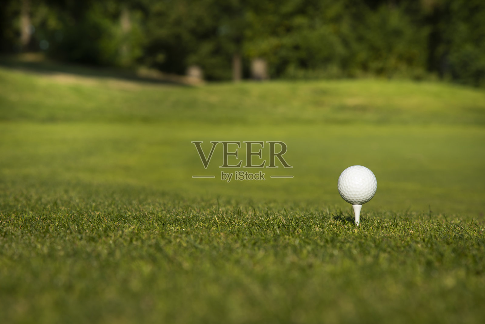 有球和草的高尔夫球场照片摄影图片