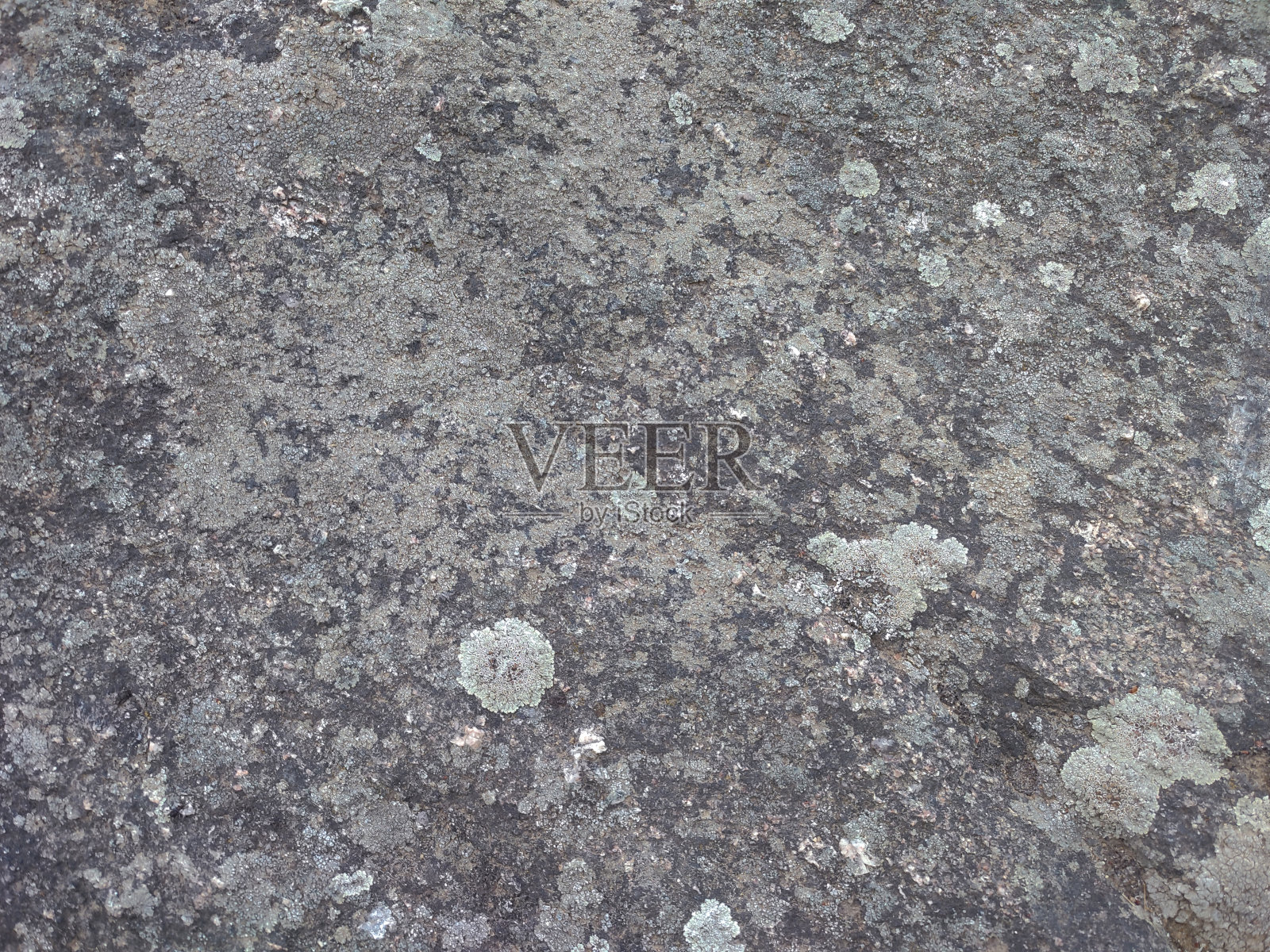 详细的岩石表面纹理与自然模式和苔藓生长照片摄影图片