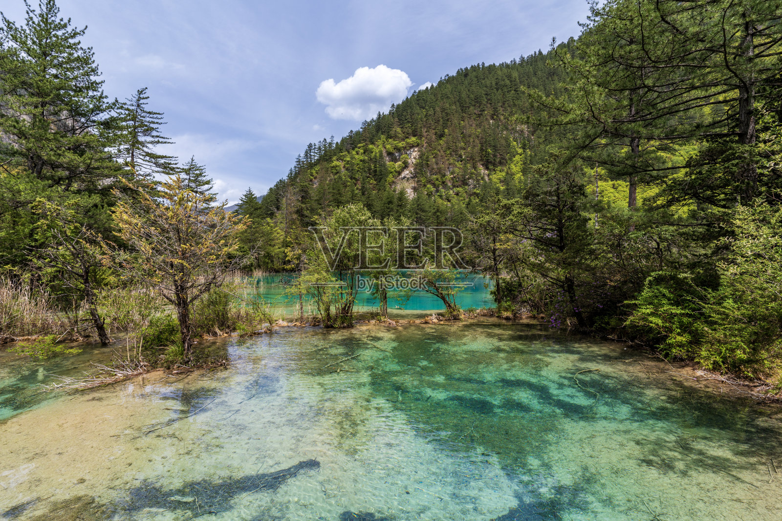 九寨沟双龙湖,又名双龙湖照片摄影图片