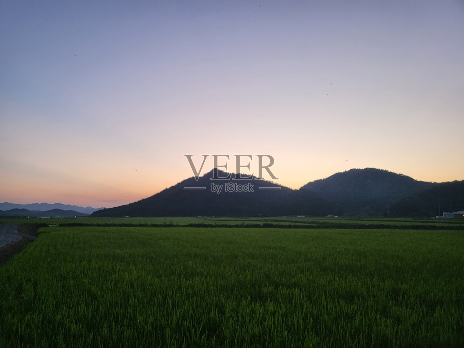 爸爸凸轮照片摄影图片