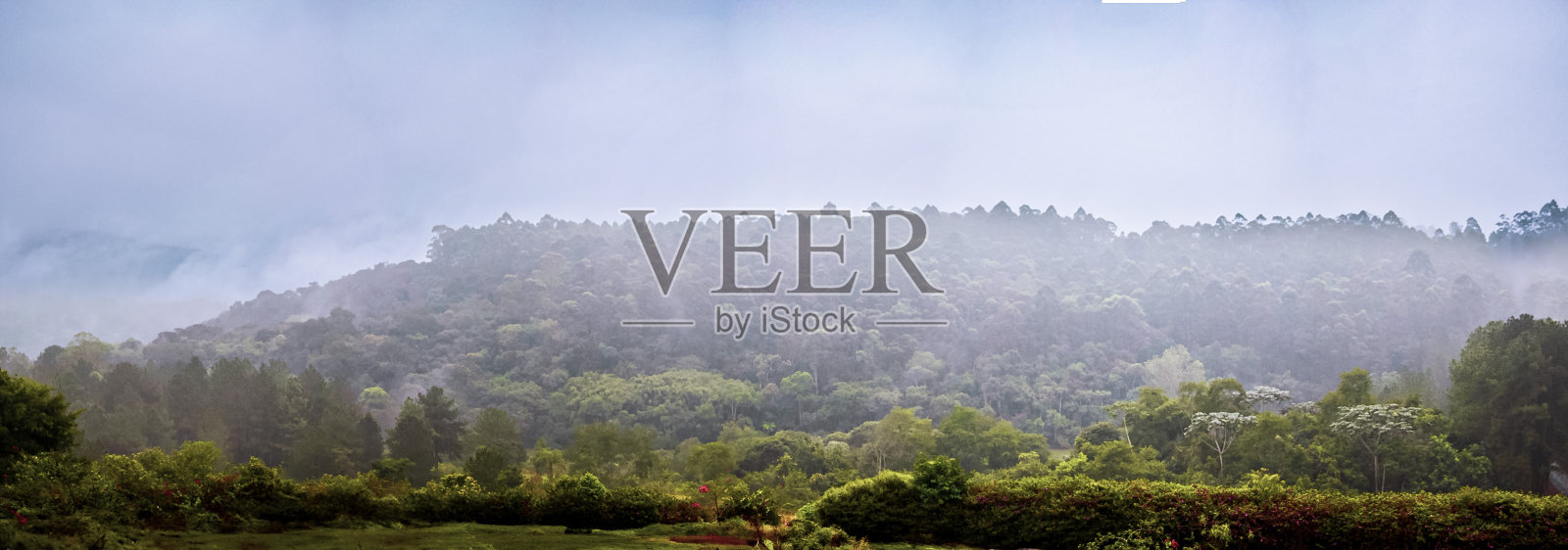 花园全景照片照片摄影图片