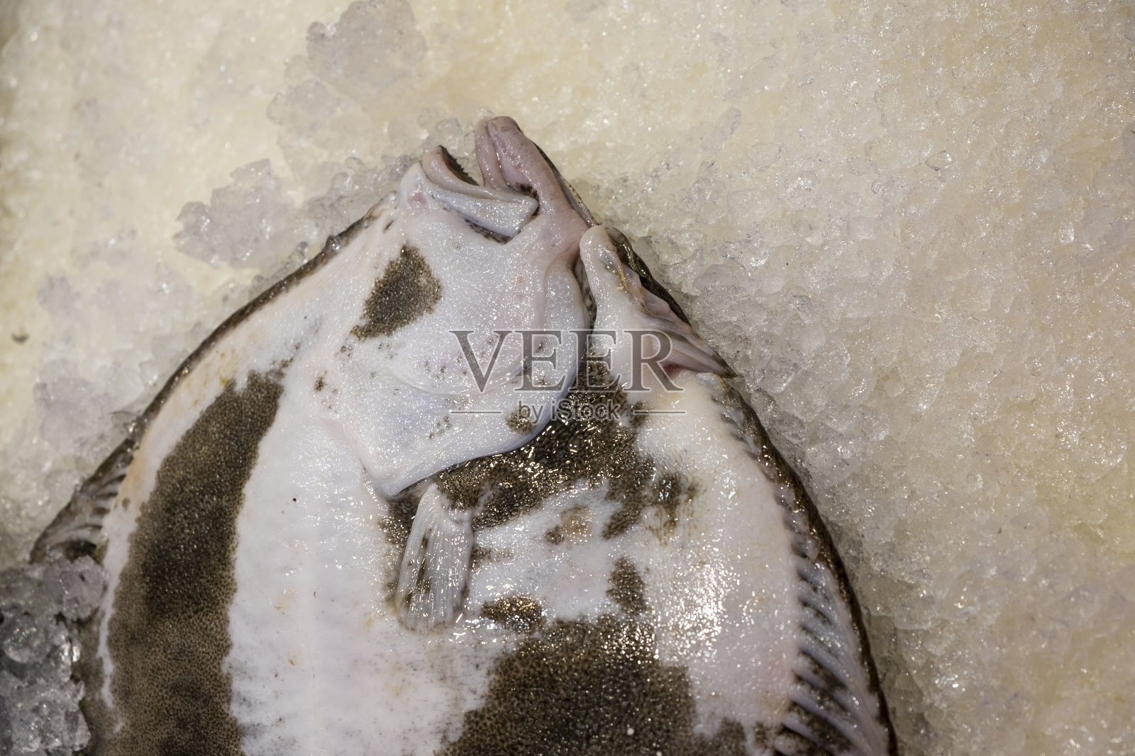 食品市场上传统鱼贩柜台上的大比目鱼。照片摄影图片