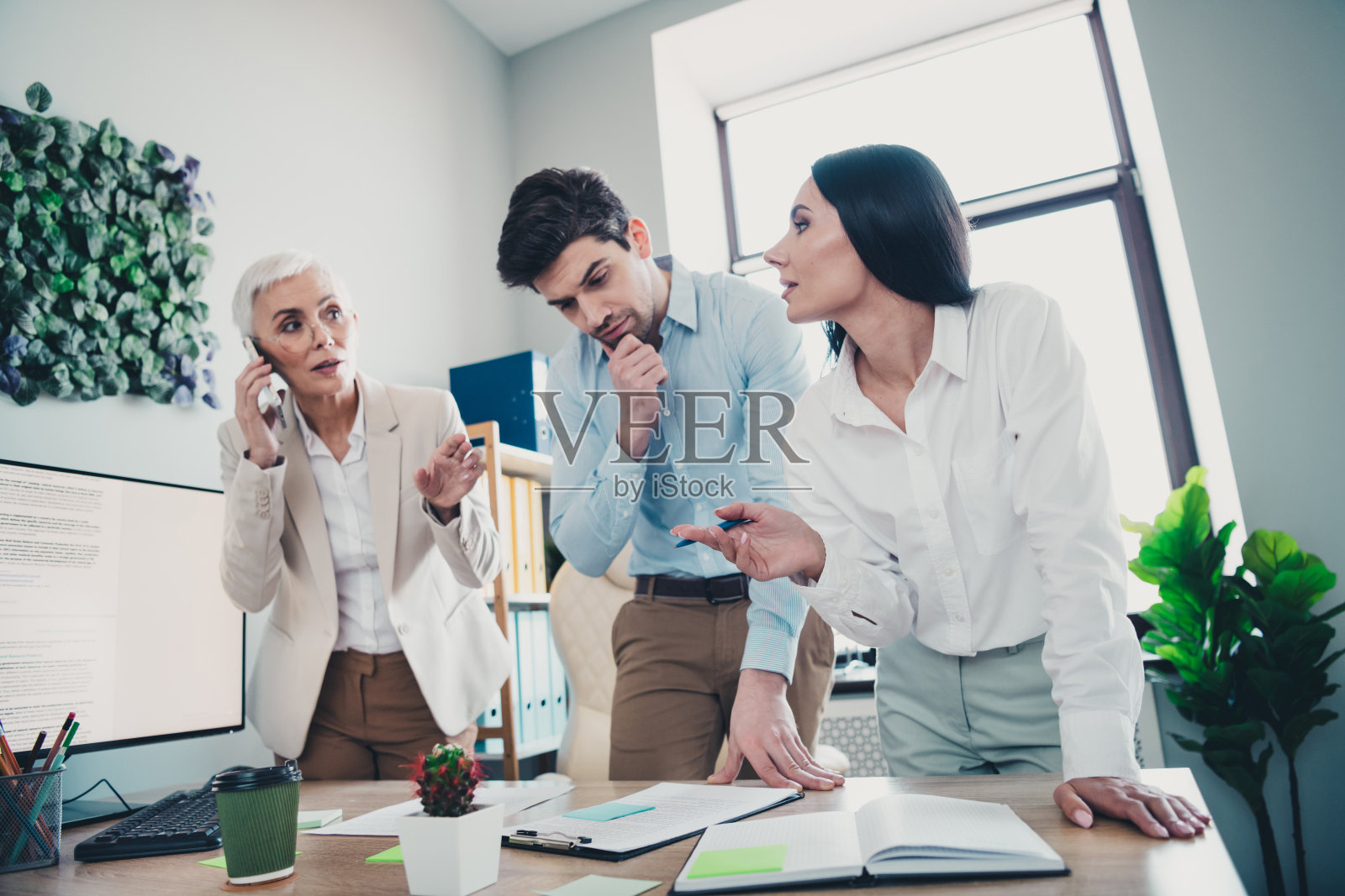 两名员工的照片成熟的女老板讨论合同思想合作的新项目办公室在现代工作空间一起工作照片摄影图片