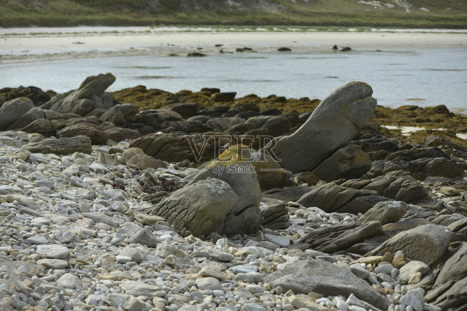 沿海布雷顿,罗彻斯岛照片摄影图片