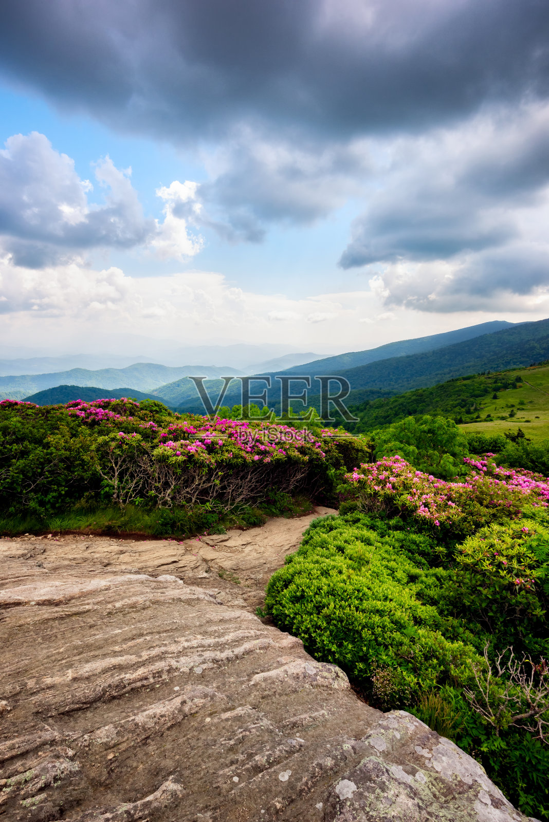 六月在田纳西州的阿巴拉契亚山脉照片摄影图片