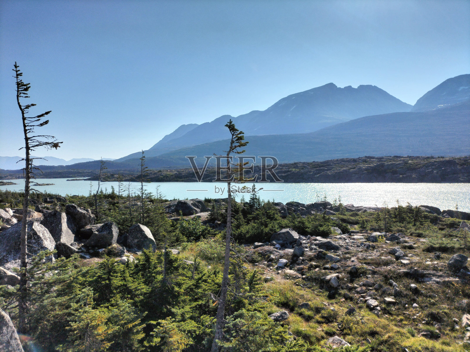 在一个阳光明媚的日子里,阿拉斯加的克朗代克高速公路照片摄影图片