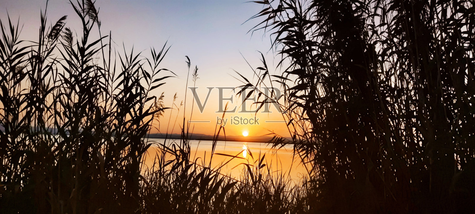 Albufera照片摄影图片