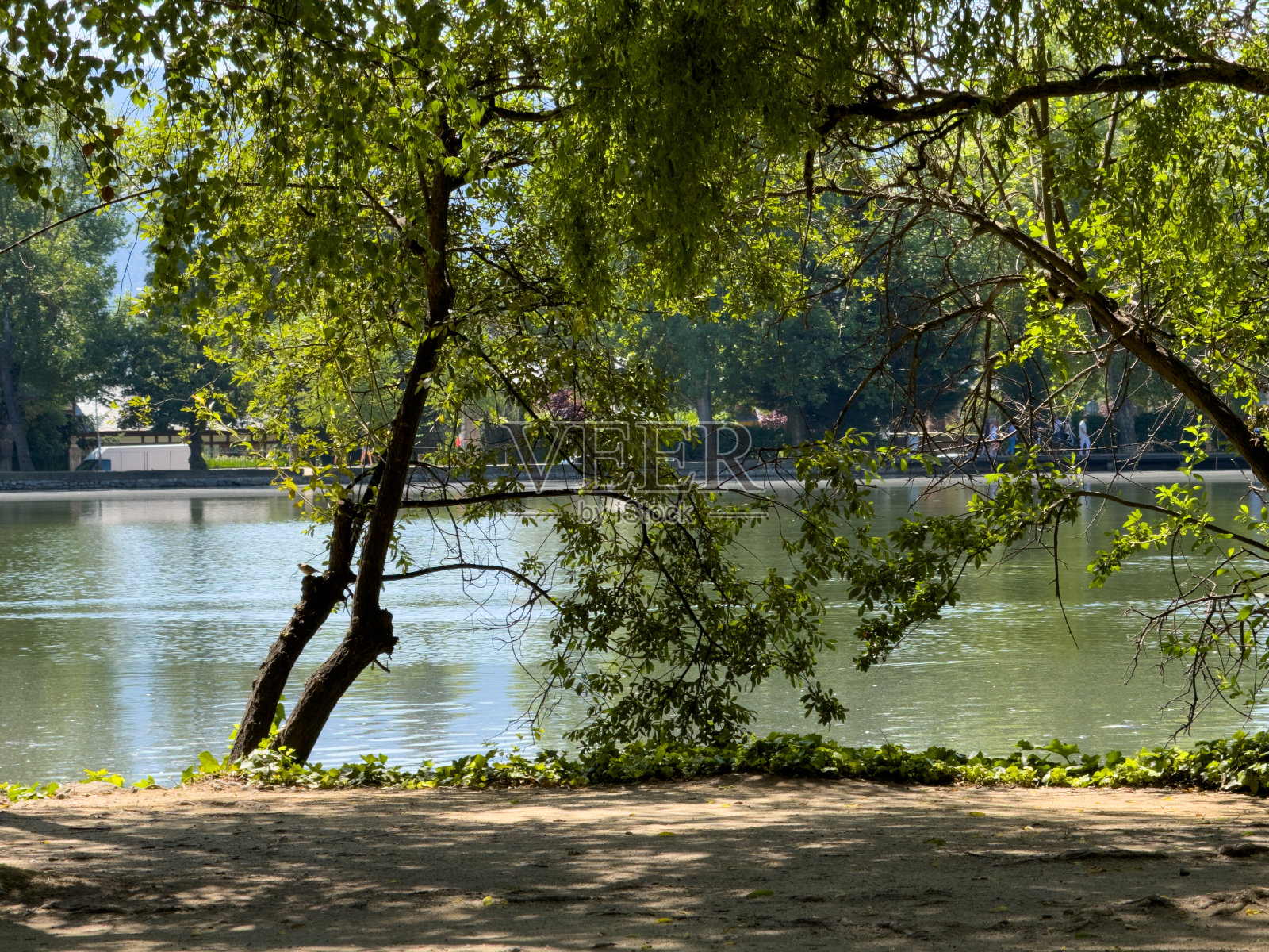 Puigcerda公园照片摄影图片